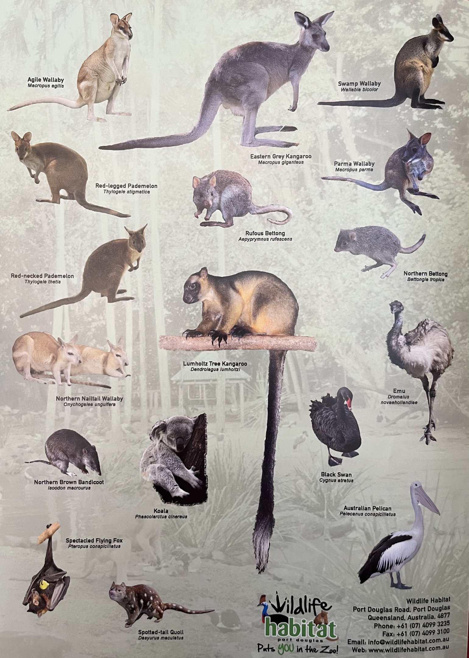 Species List (4 of 4 pages) - 2015