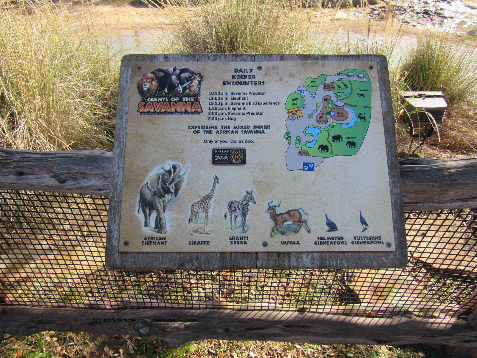 Species List of Giants of the Savanna