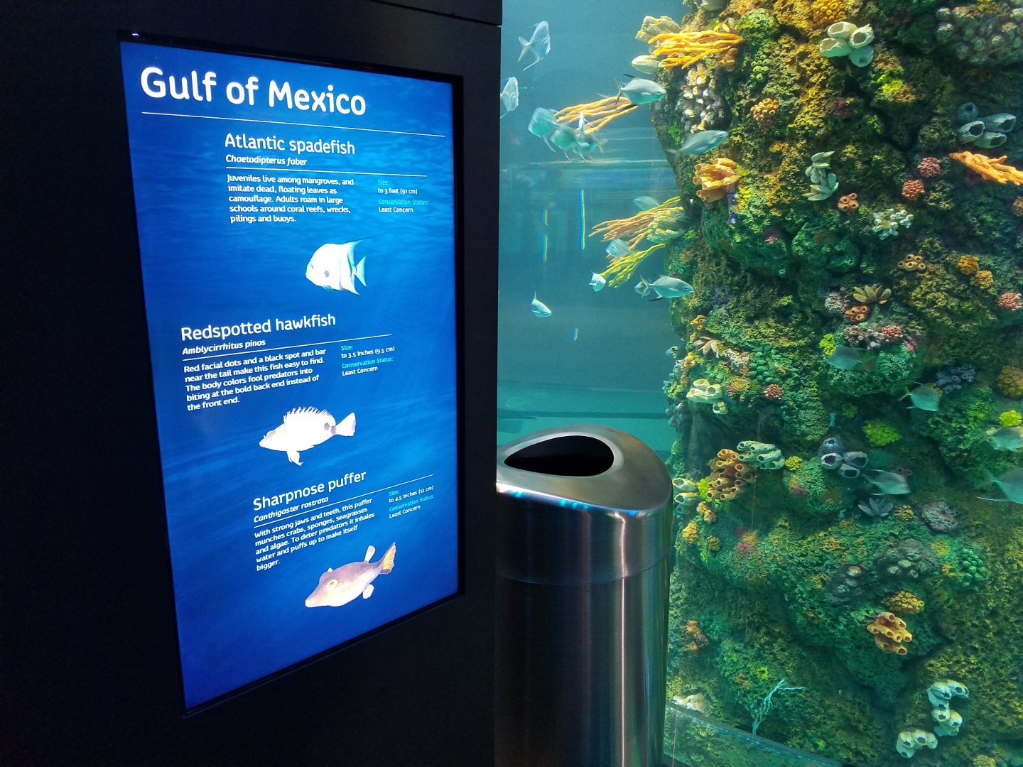 Species sign Example with new Gulf of Mexico Cylindrical tank