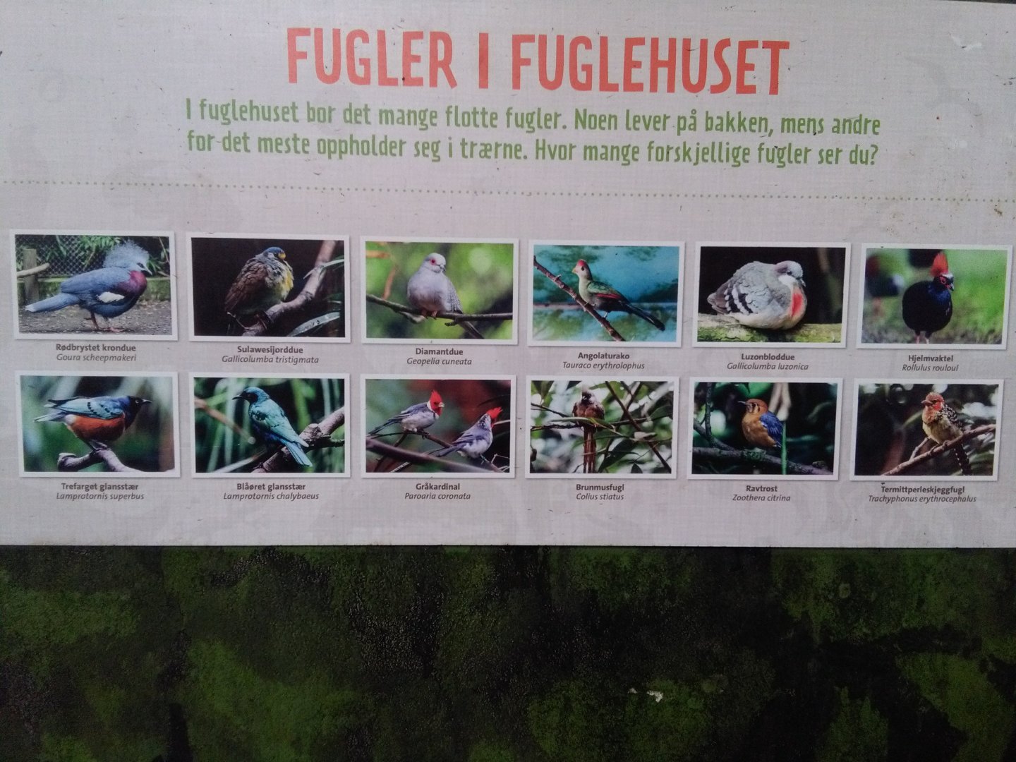 Species sign in birdhouse