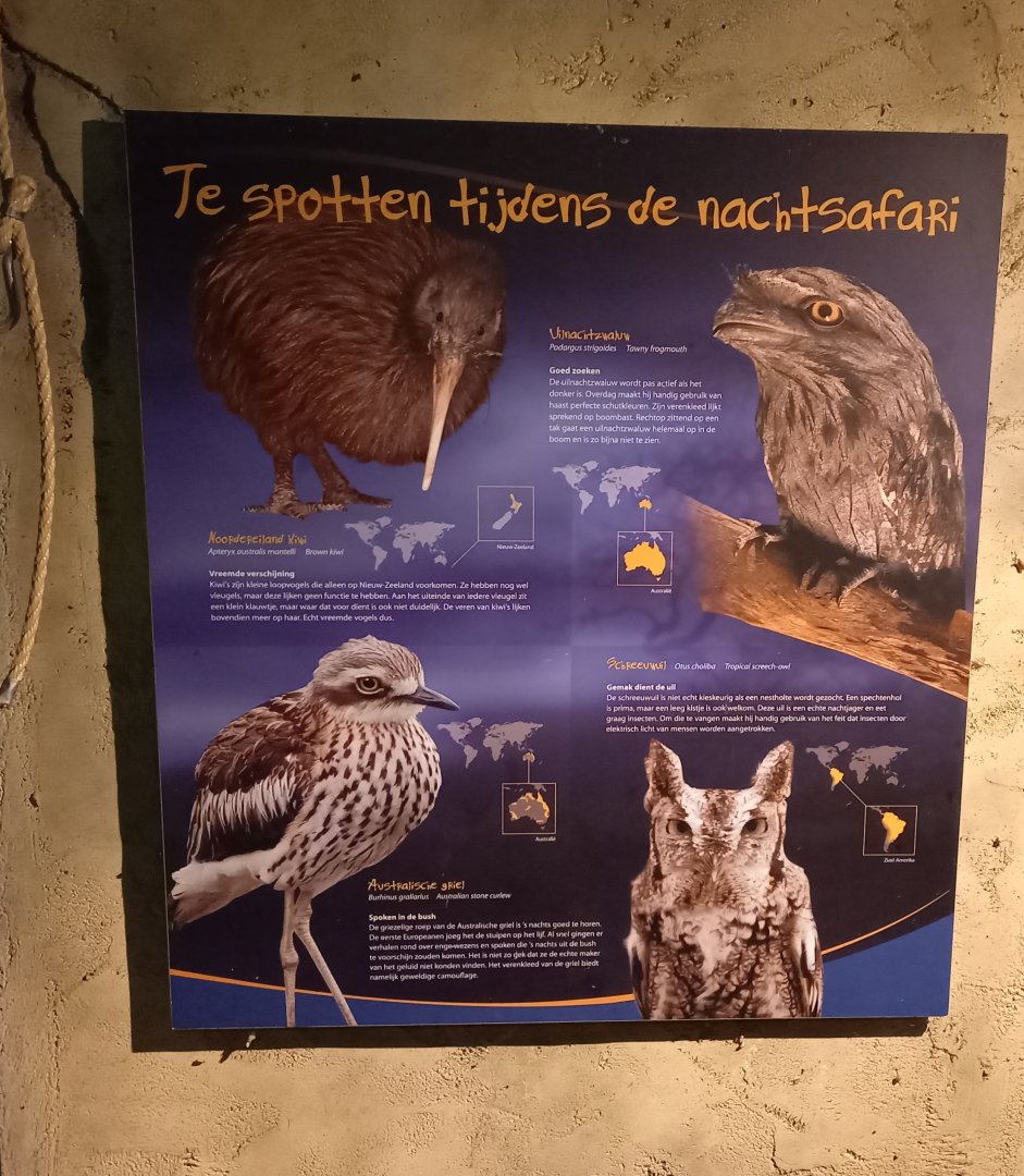 Species-sign Nocturnal ( Kiwi ) house