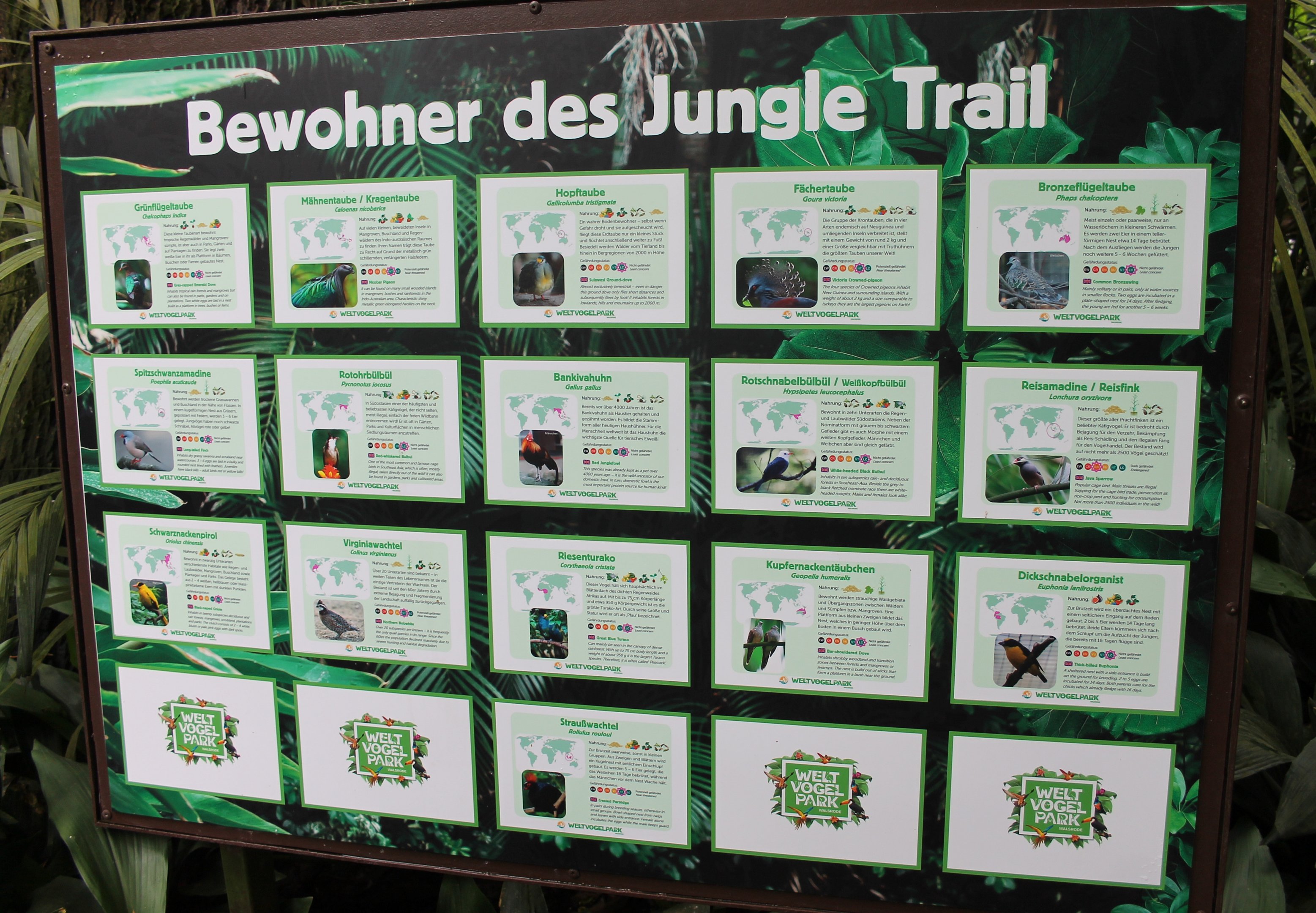 Speciesboard for Jungle Trail (09/2020)