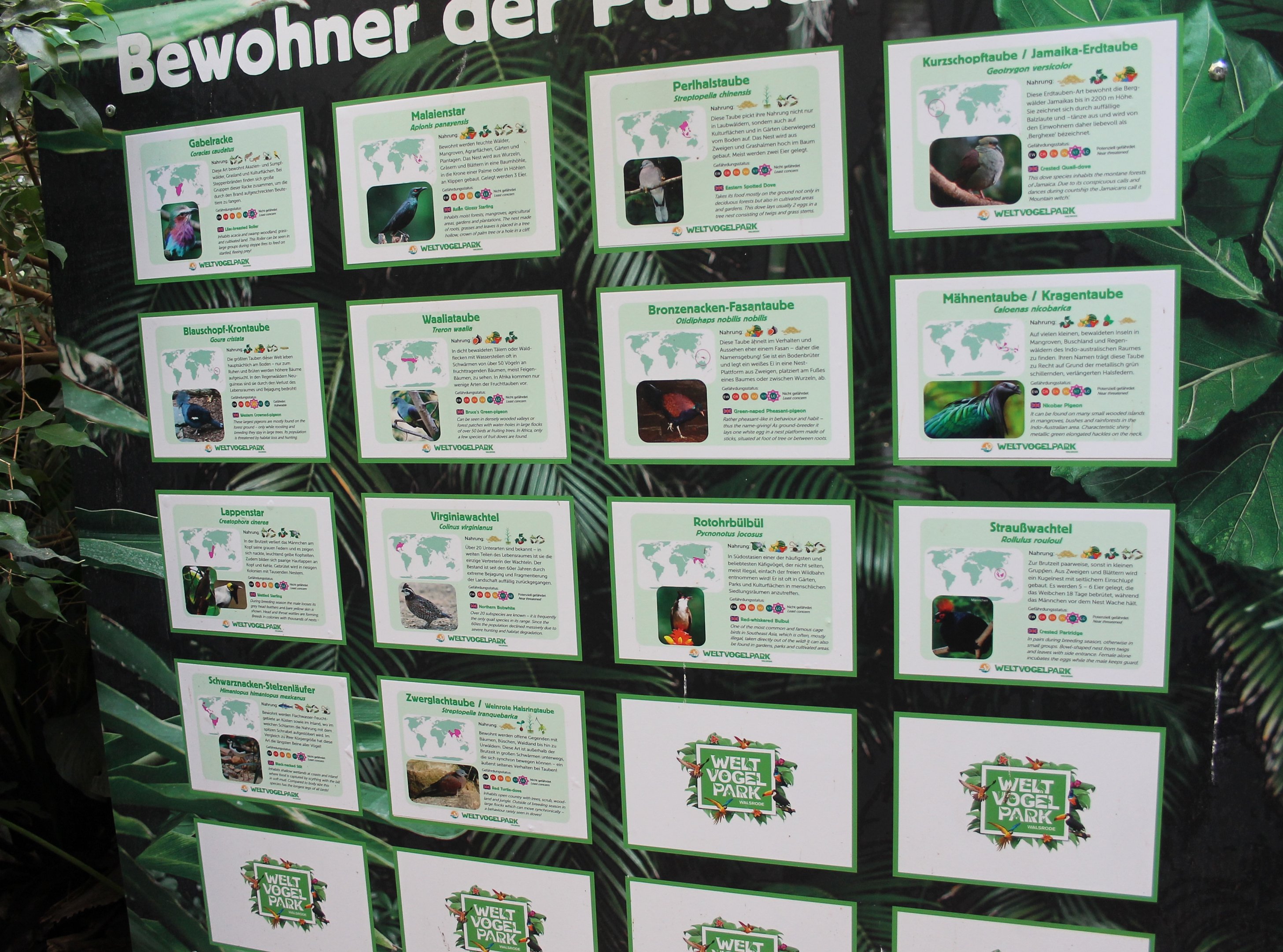 Speciesboard for Paradieshalle walk-through (09/2020)