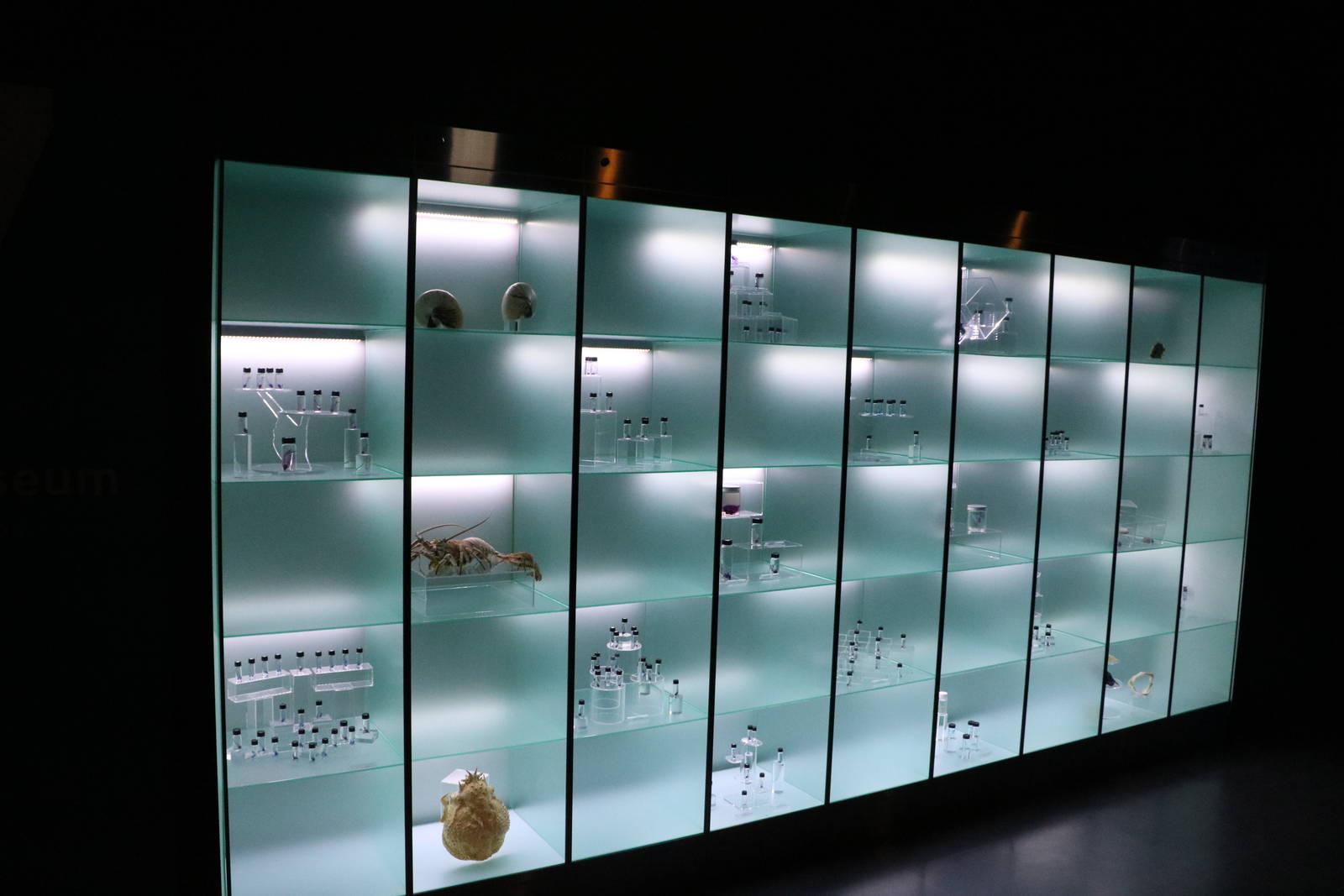 Specimen display - EPSON Aqua Park, February 2016