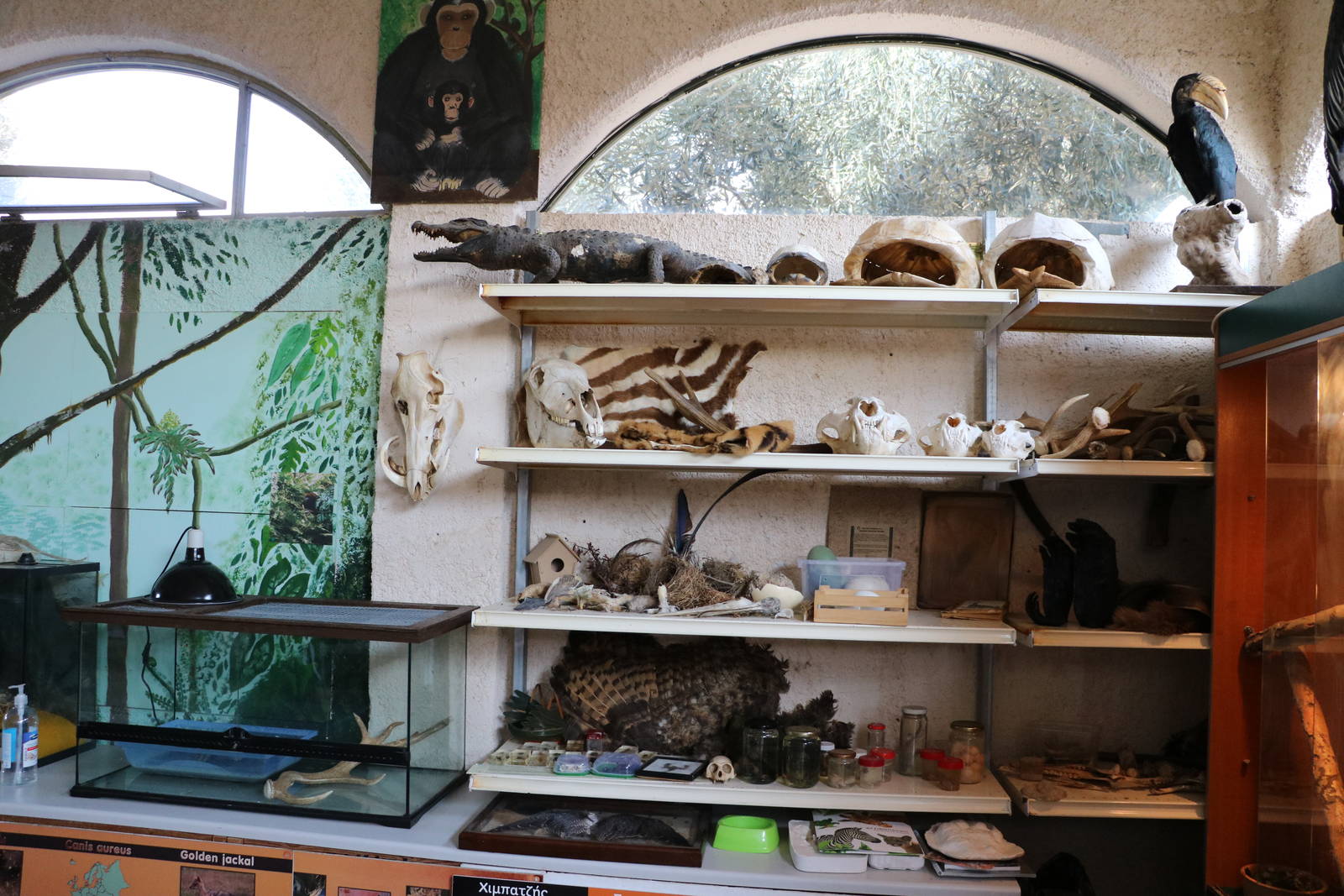 Specimens in the Education centre, February 2016