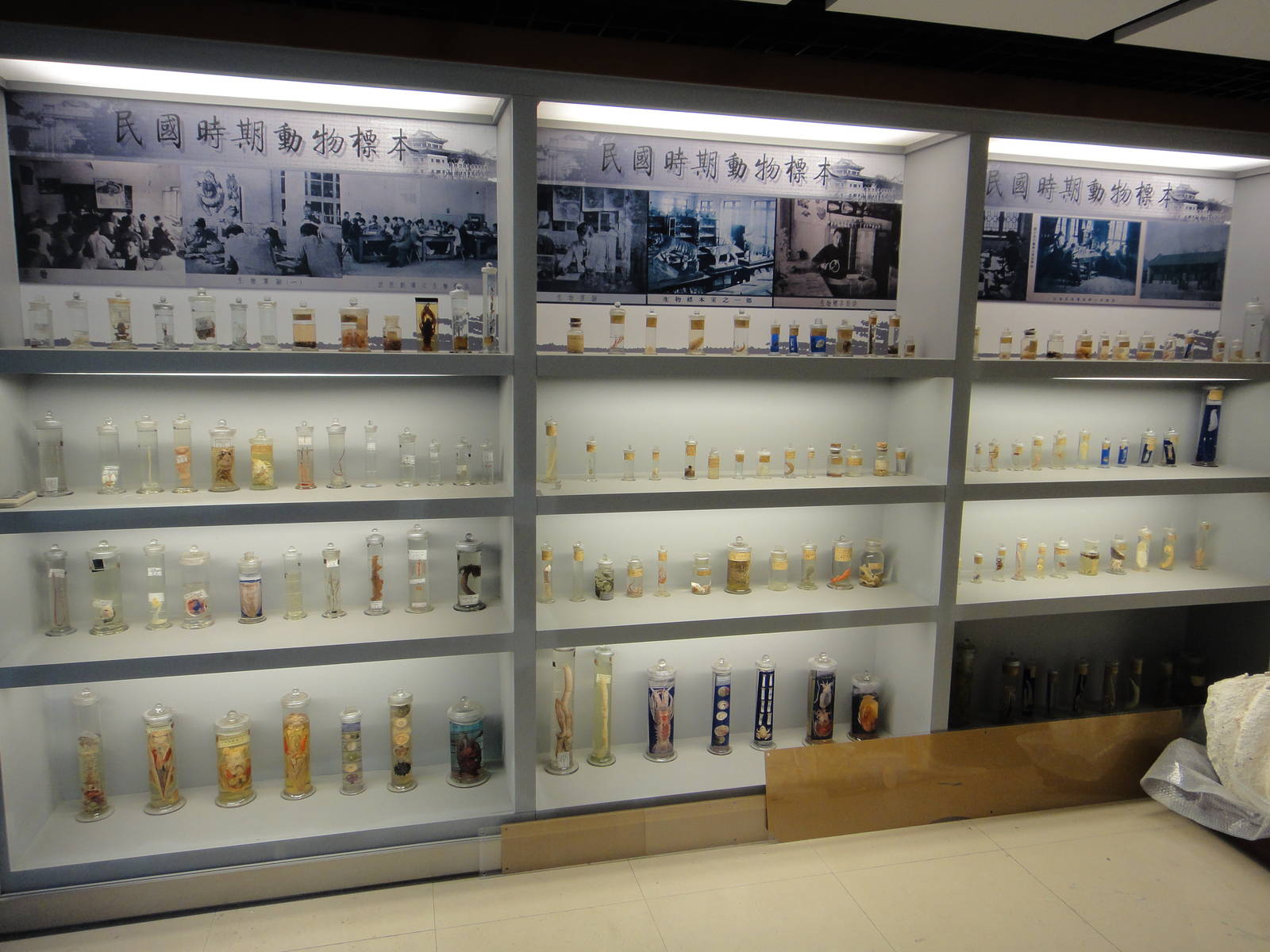 Specimens made in the period of ROC