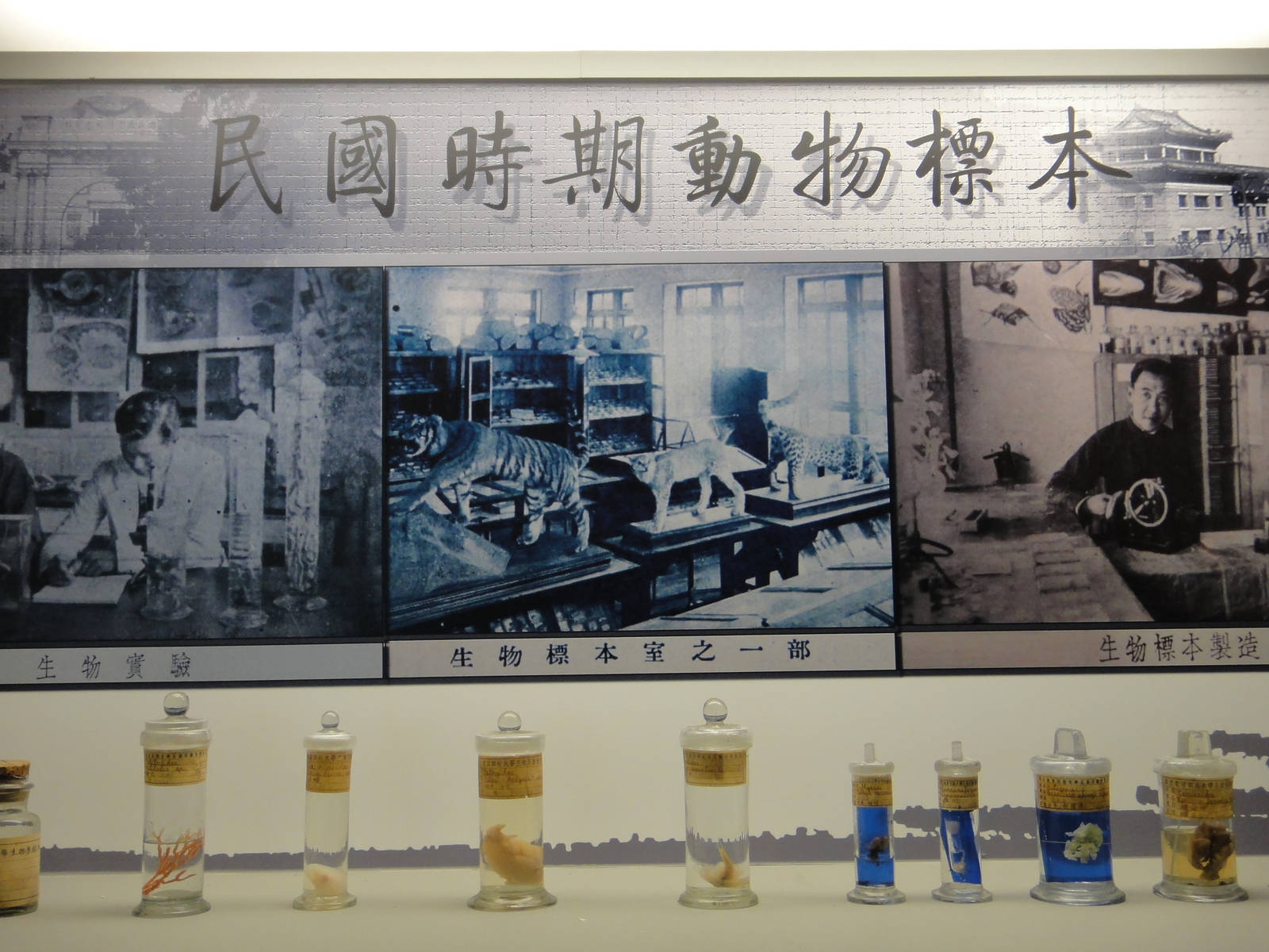 Specimens made in the period of ROC