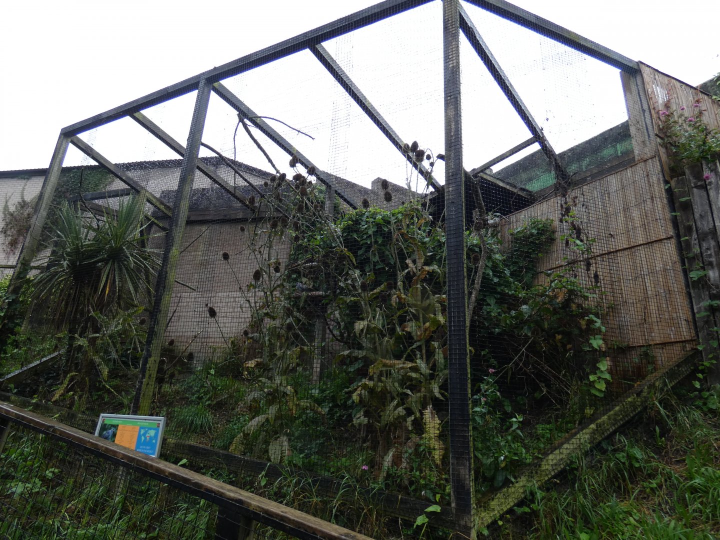 Speckled Pigeon aviary