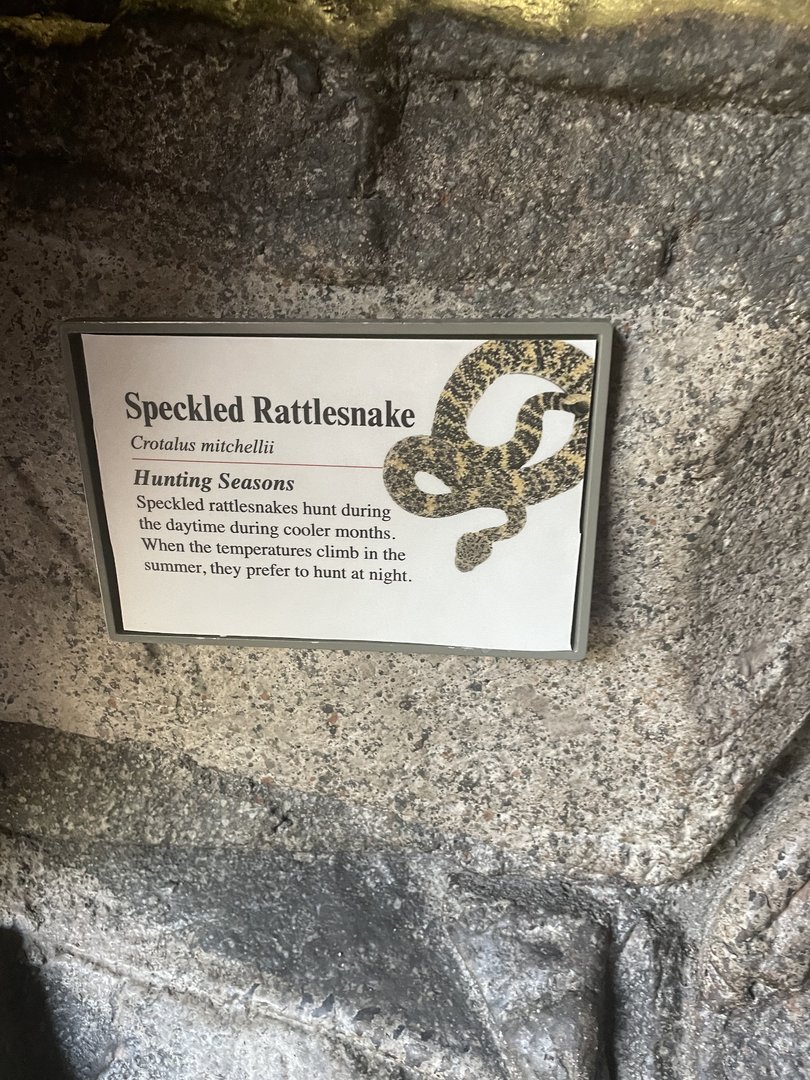 Speckled RattleSnake Signage