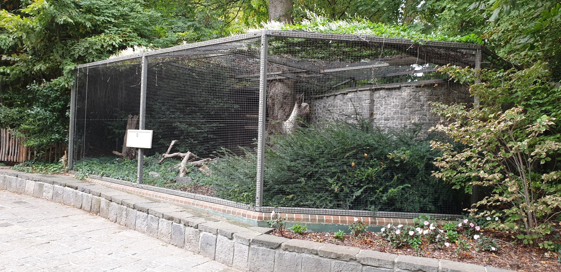 Speclated owl aviary