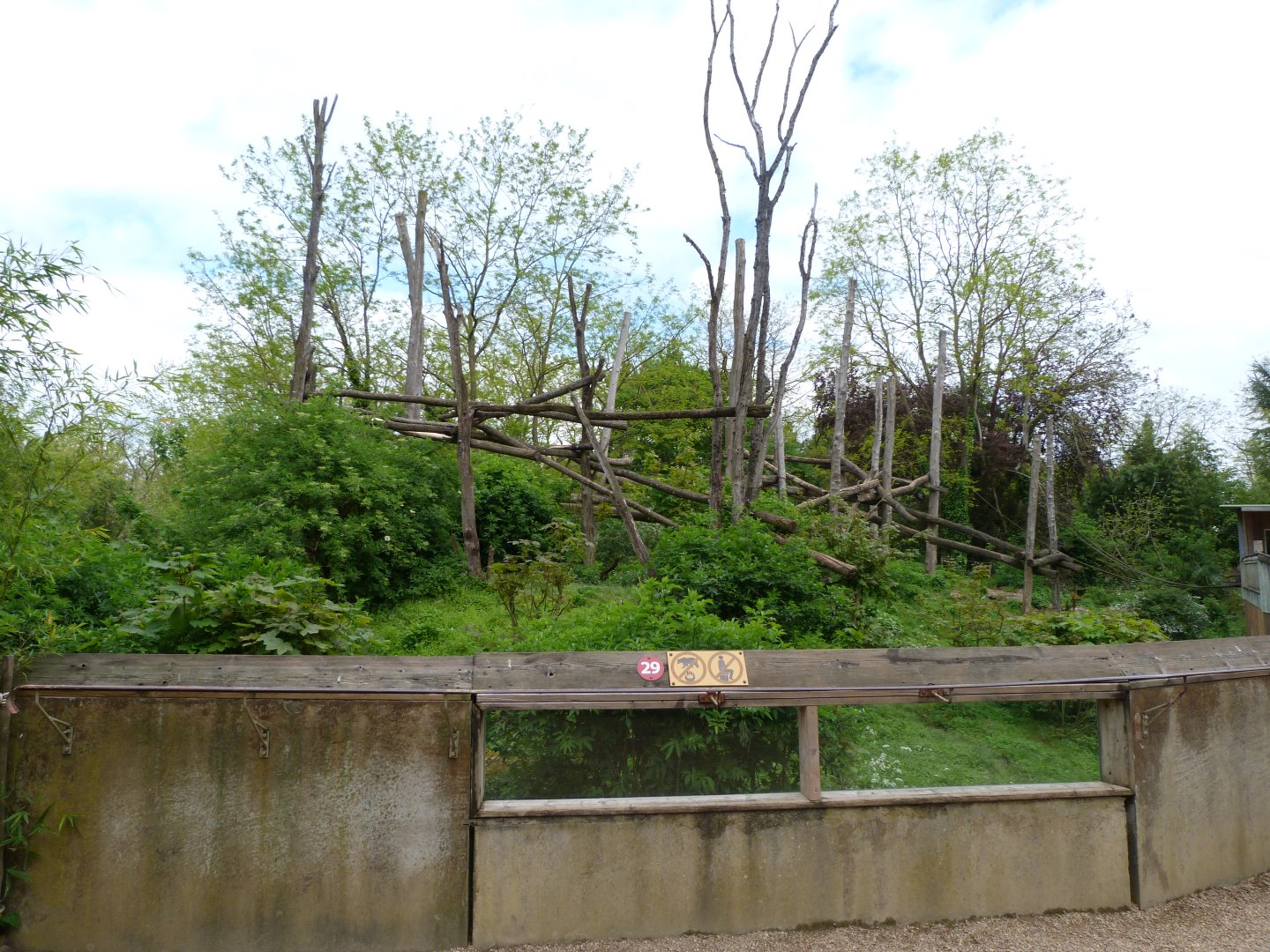 Spectacled bear and Bolivian squirrel monkey exhibit -Bioparc de Doué la Fontaine (2025)