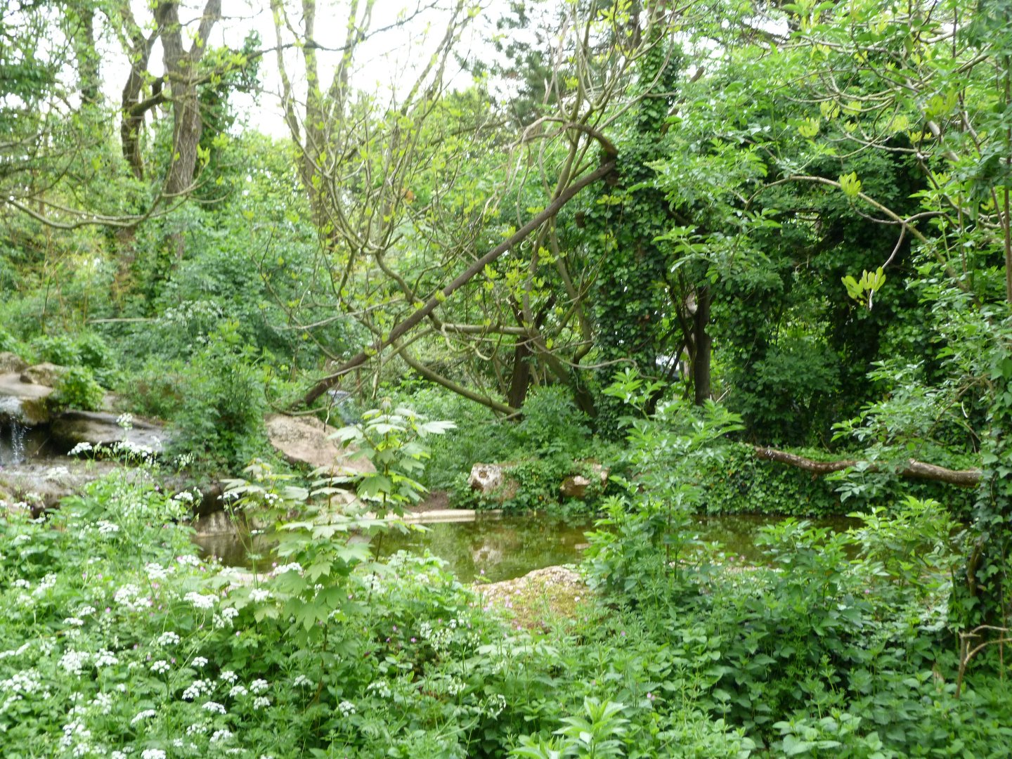 Spectacled bear and Bolivian squirrel monkey exhibit -Bioparc de Doué la Fontaine (2025)