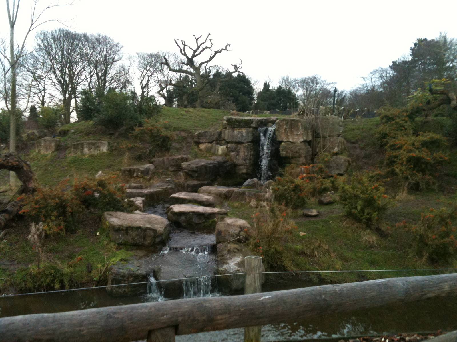 Spectacled Bear and Coati Exhibit - 16/02/2011