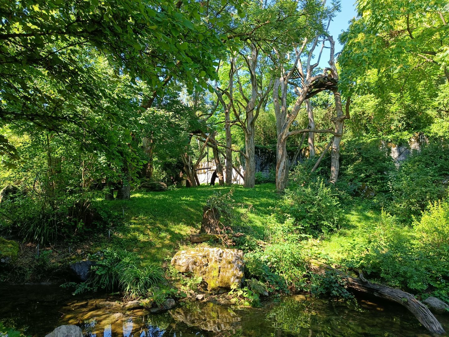 Spectacled Bear and South American Coati enclosure