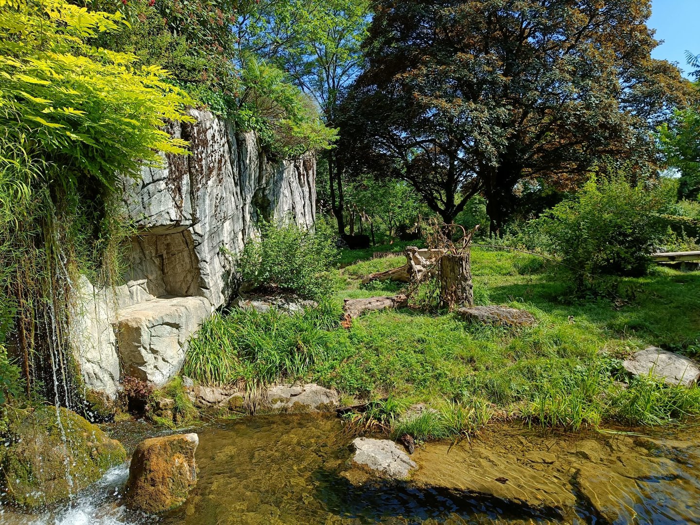 Spectacled Bear and South American Coati enclosure