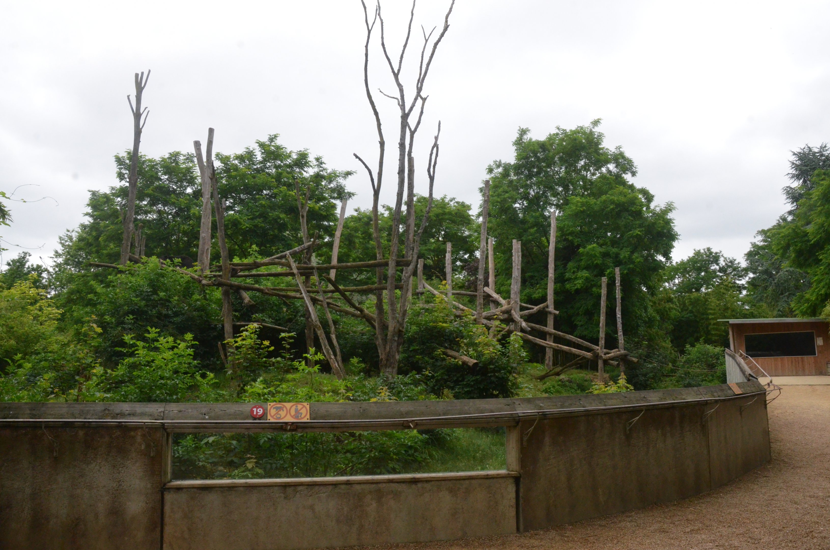 Spectacled Bear and Squirrel Monkey Enclosure at Doué-la-Fontaine, 15/06/18