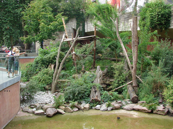 Spectacled Bear and White-nosed Coati exhibit