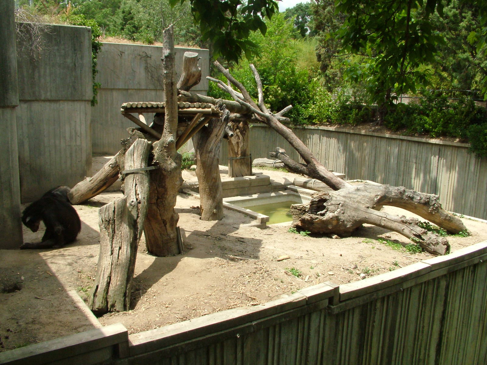 Spectacled Bear/Coati Exhibit at Madrid Zoo Aquarium, 26/05/11