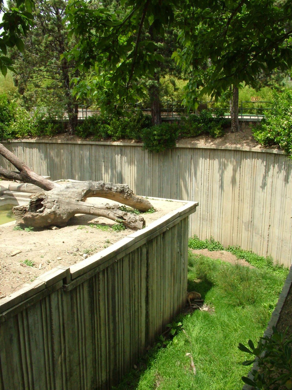Spectacled Bear/Coati Exhibit at Madrid Zoo Aquarium, 26/05/11