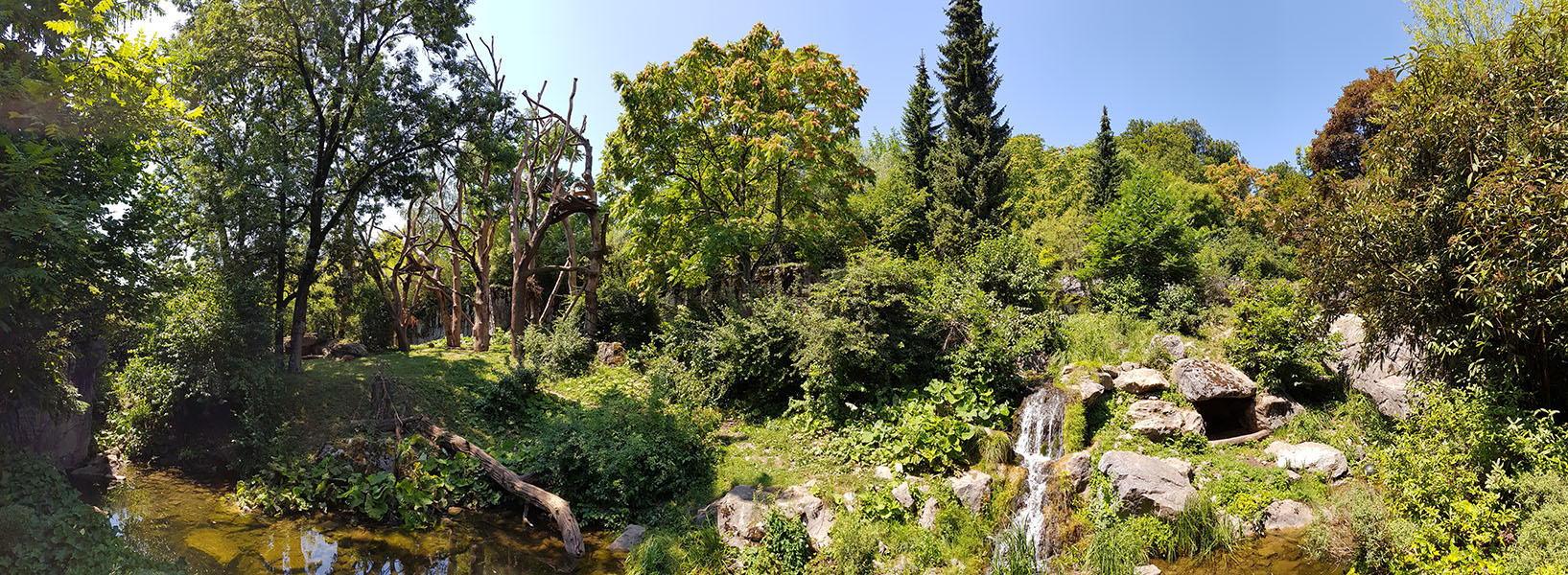 Spectacled bear & coati: viewpoint 3 panorama