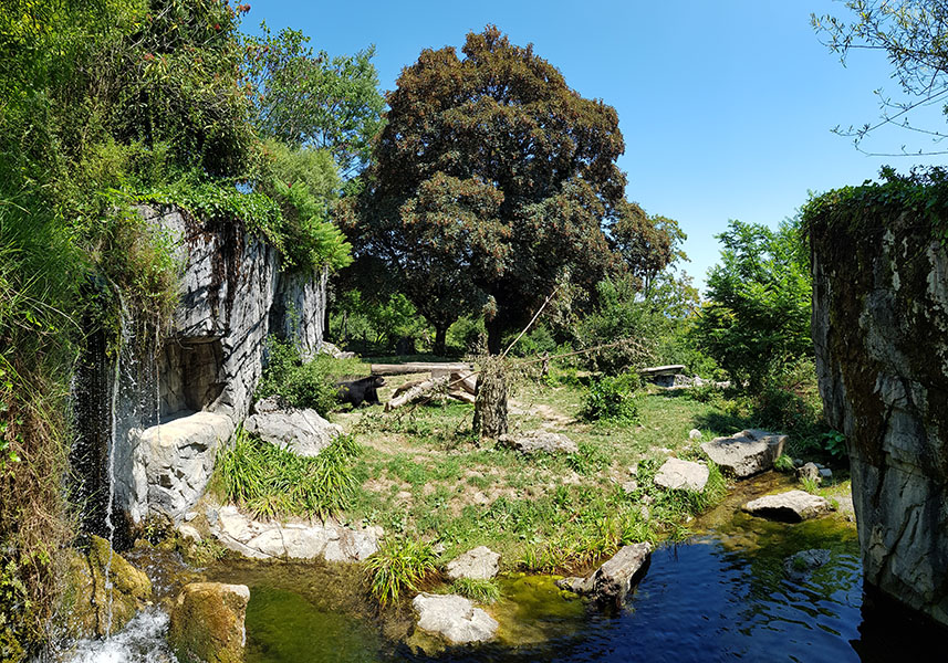 Spectacled bear & coati: viewpoint 5 panorama