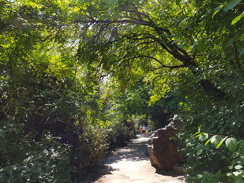 Spectacled bear & coati: visitor trail