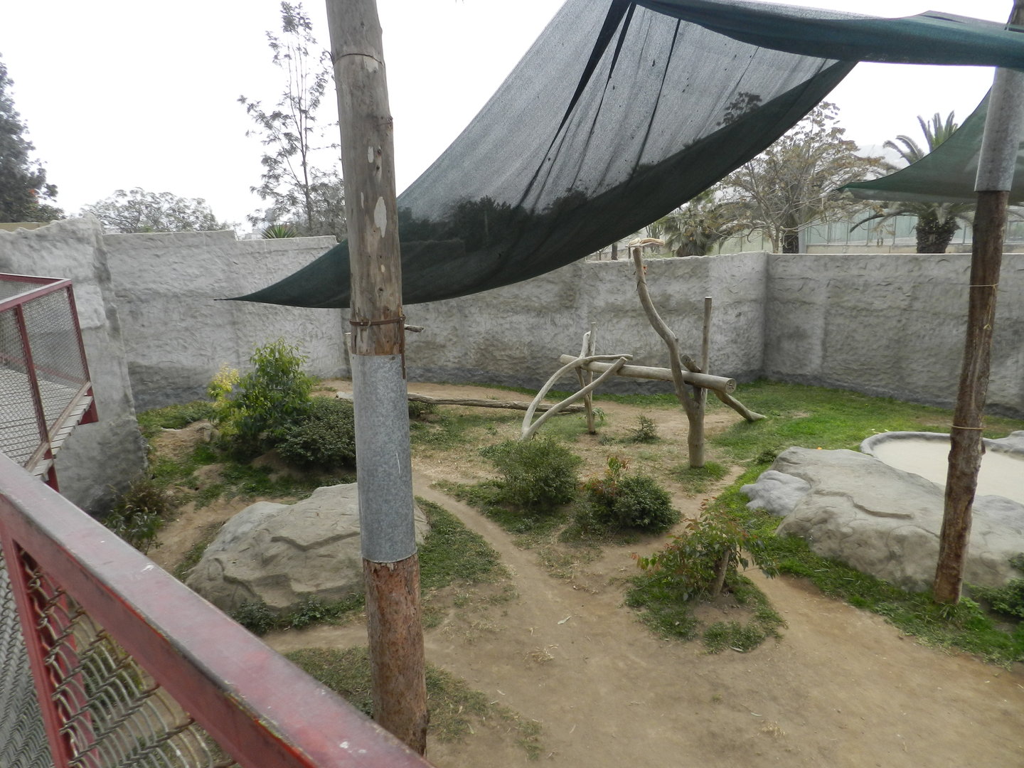 Spectacled bear complex (example of exhibit) - Parque Zoológico Huachipa