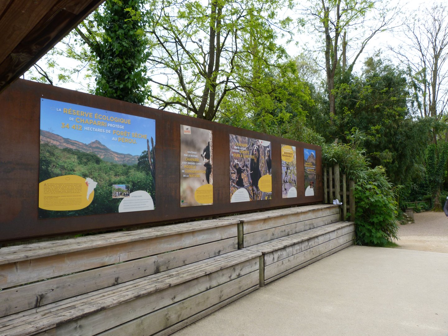 Spectacled bear conservation signs -Bioparc de Doué la Fontaine (2025)