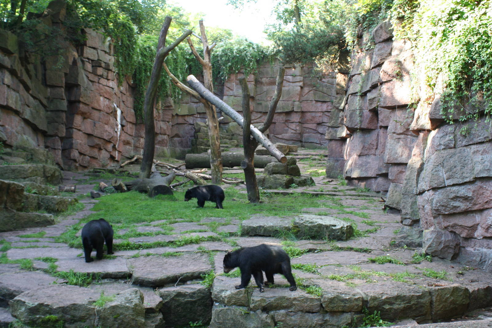 Spectacled Bear enclosue @ Berlin Tierpark: Sept 2007