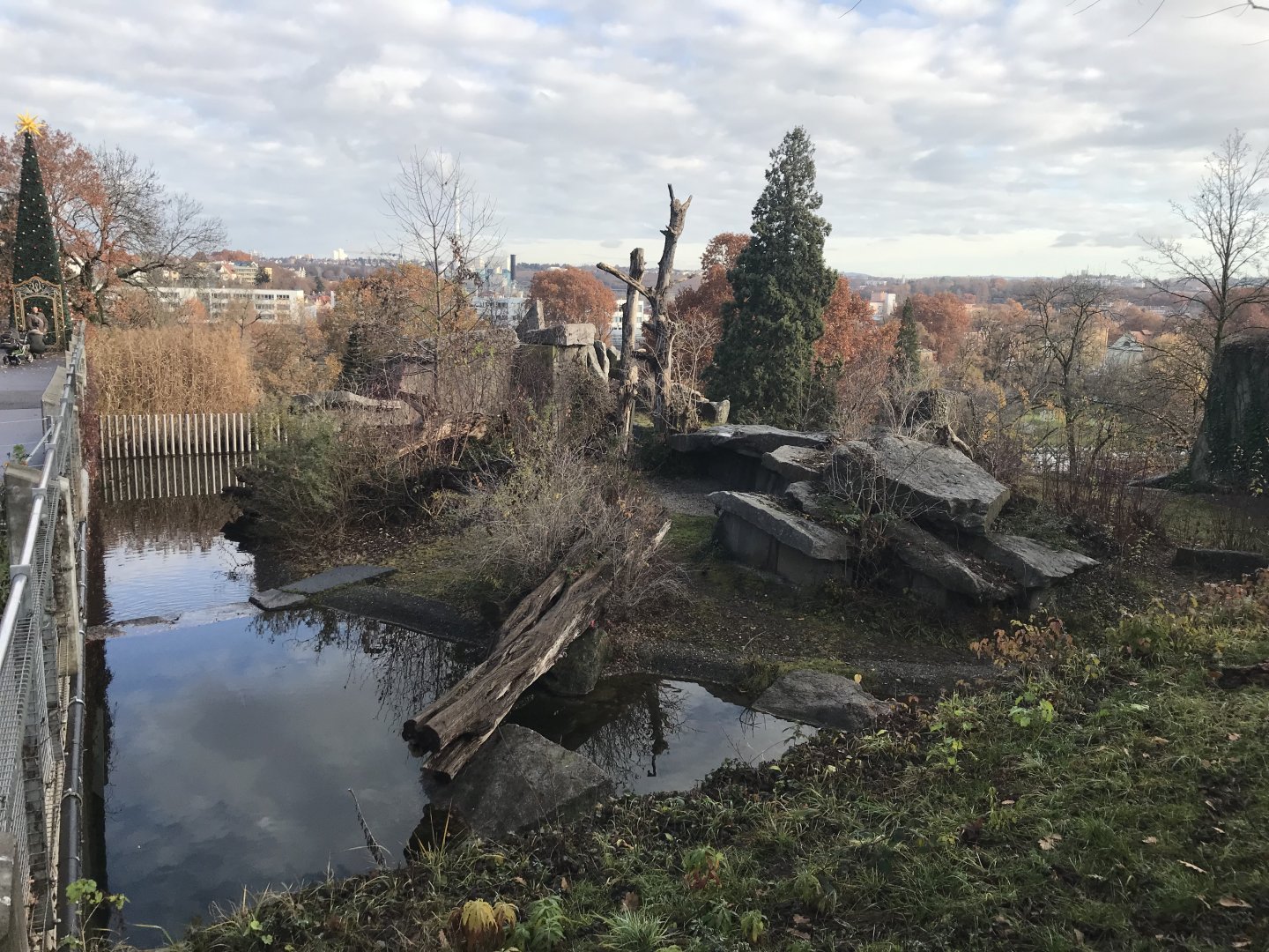 Spectacled bear enclosure 011218
