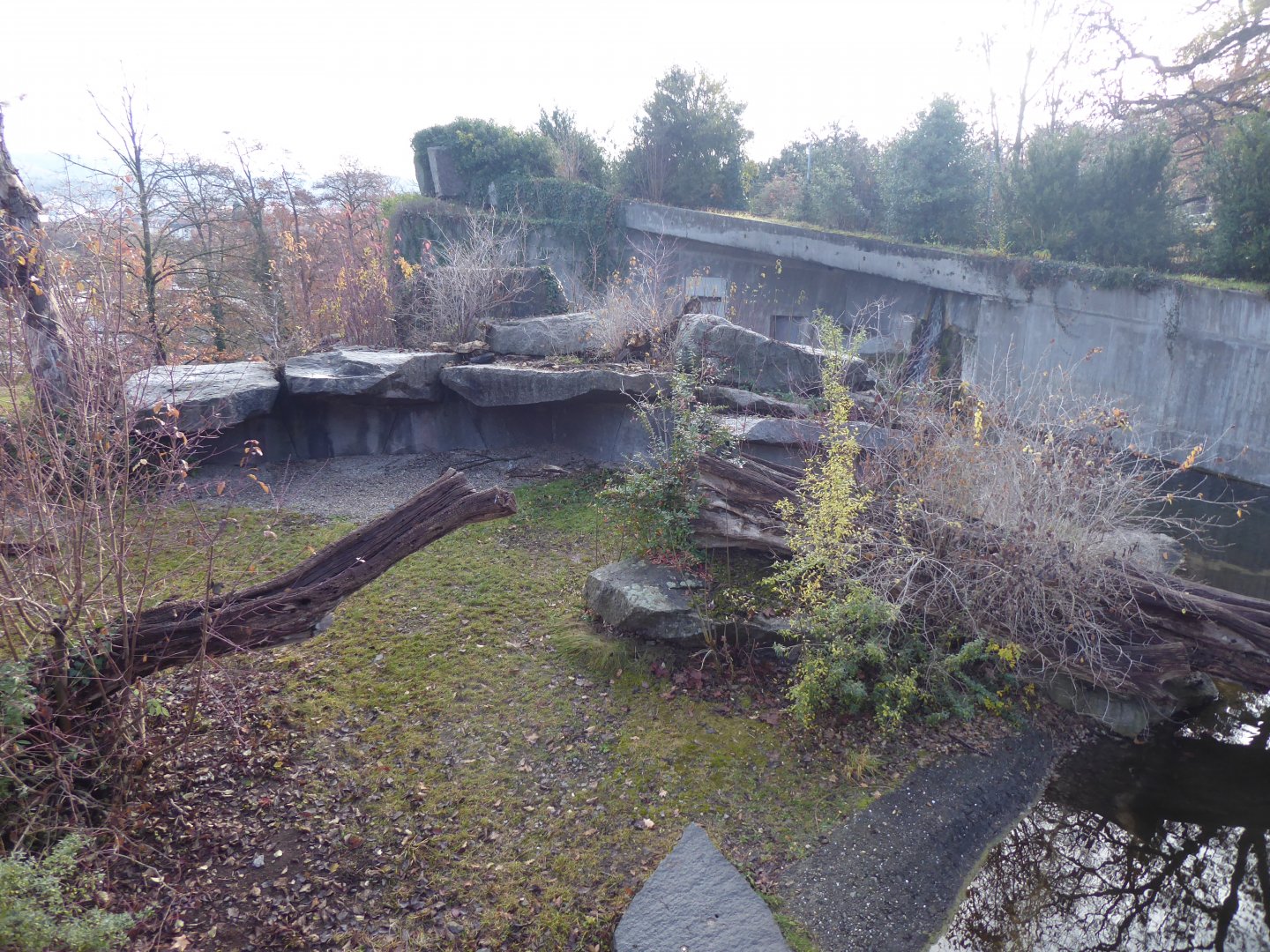 Spectacled bear enclosure 011218