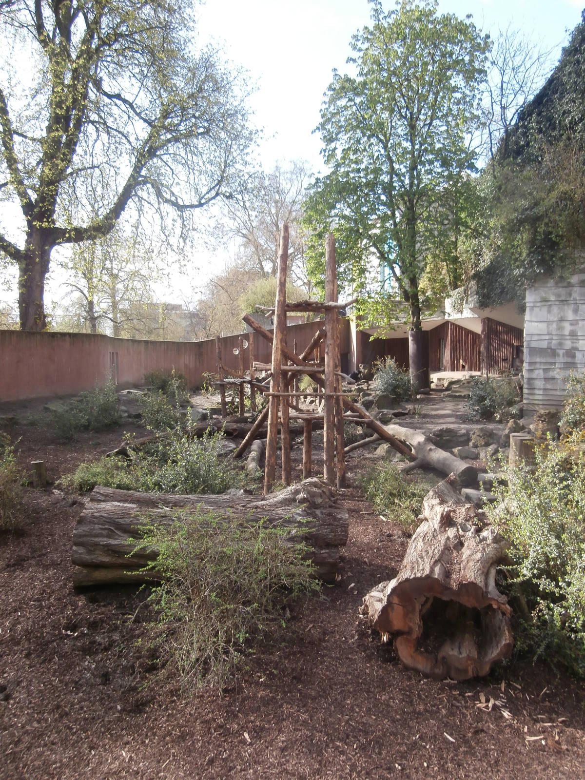 Spectacled bear enclosure 1