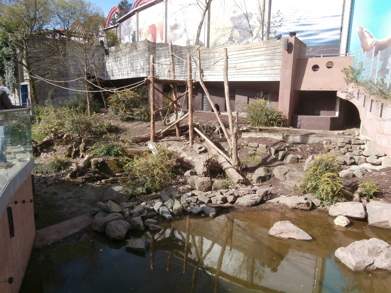 Spectacled bear enclosure 2
