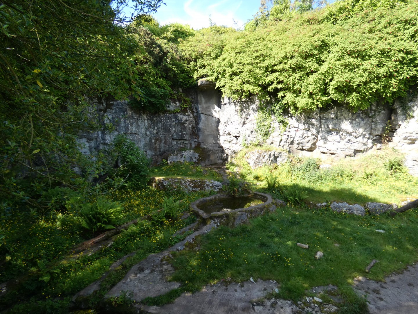 Spectacled bear enclosure (2)