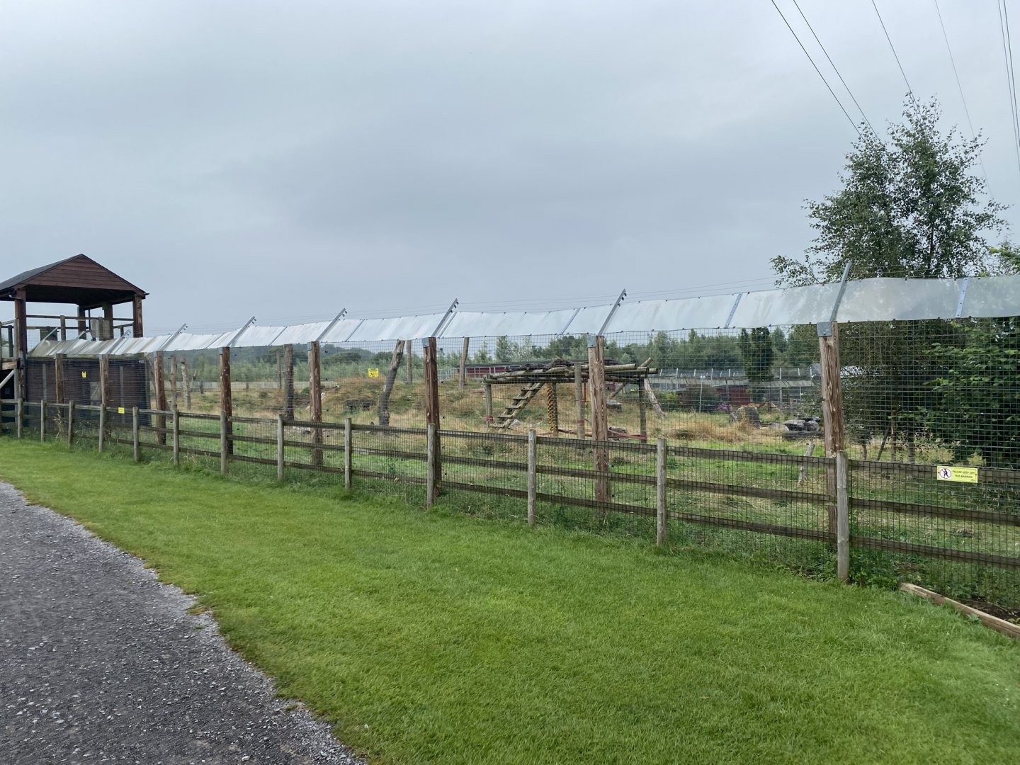 Spectacled bear enclosure 240721
