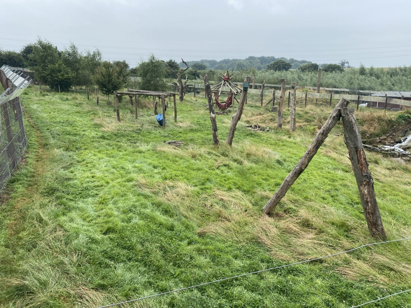 Spectacled bear enclosure 240721