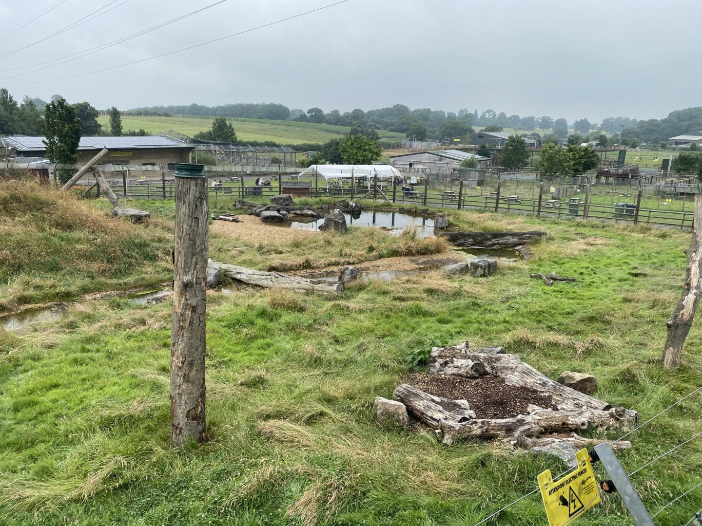 Spectacled bear enclosure 240721