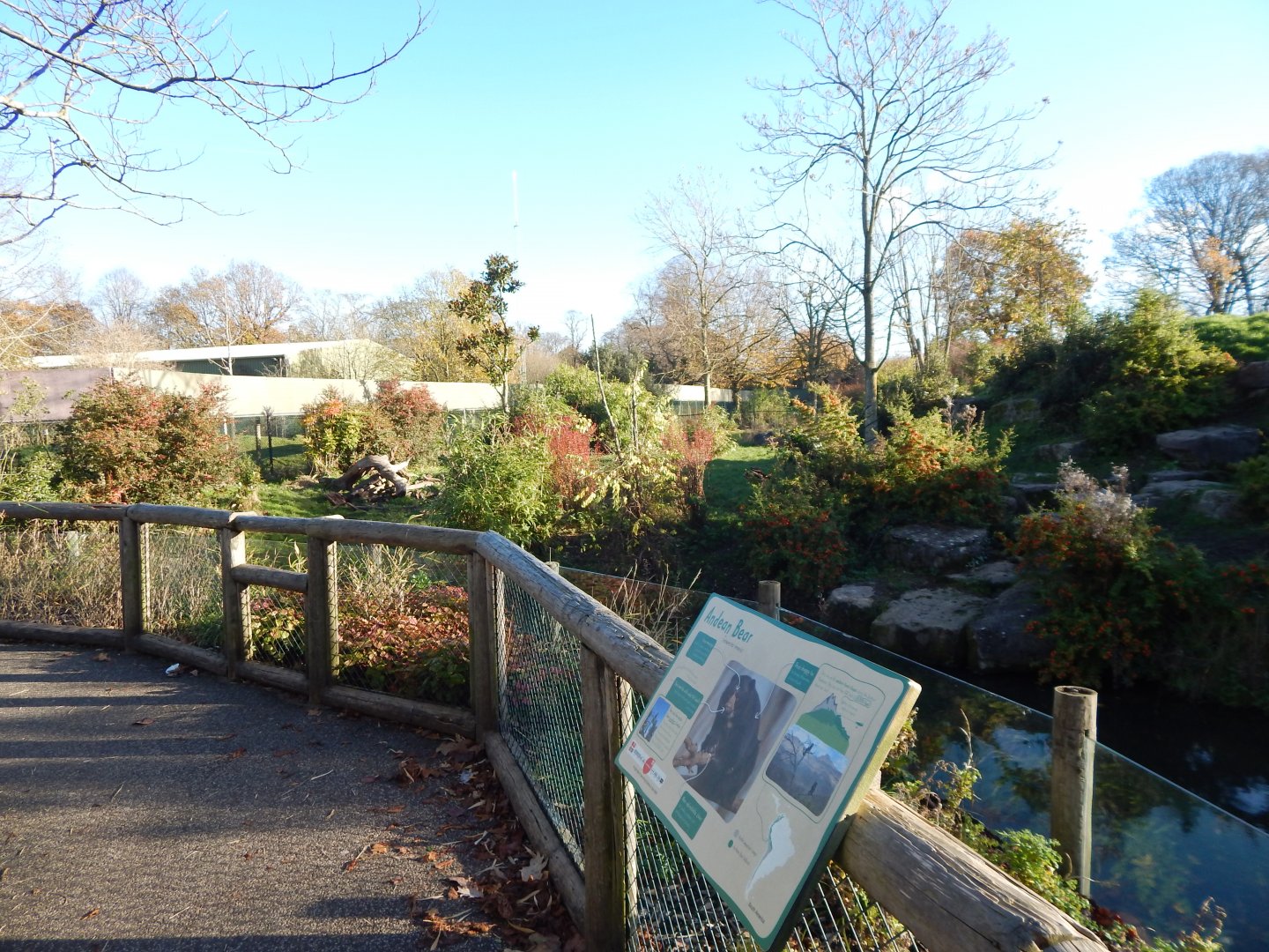 Spectacled bear enclosure 241123