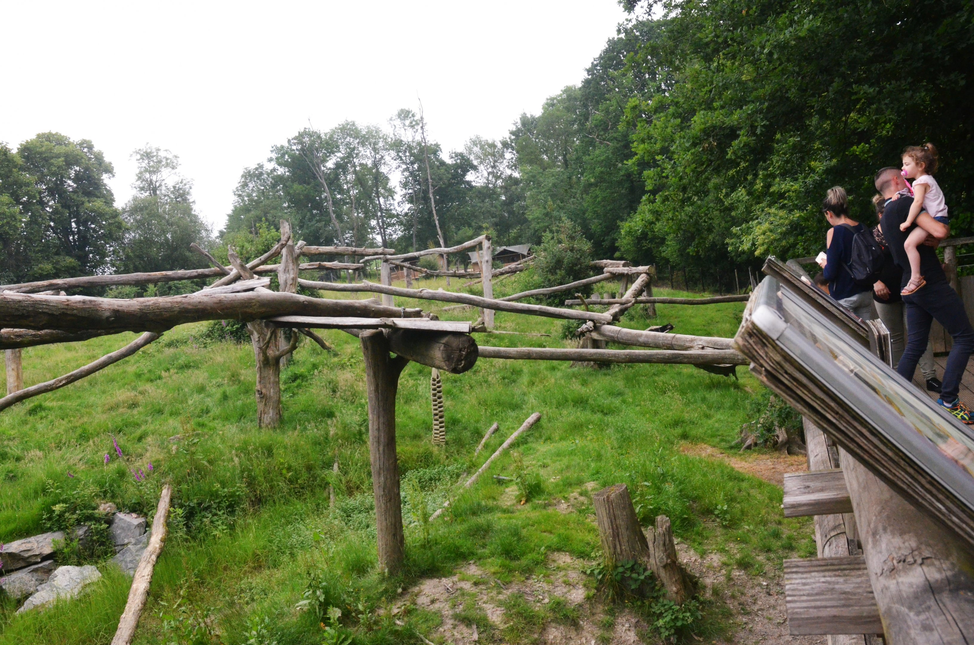 Spectacled Bear Enclosure at CERZA, 10/06/18