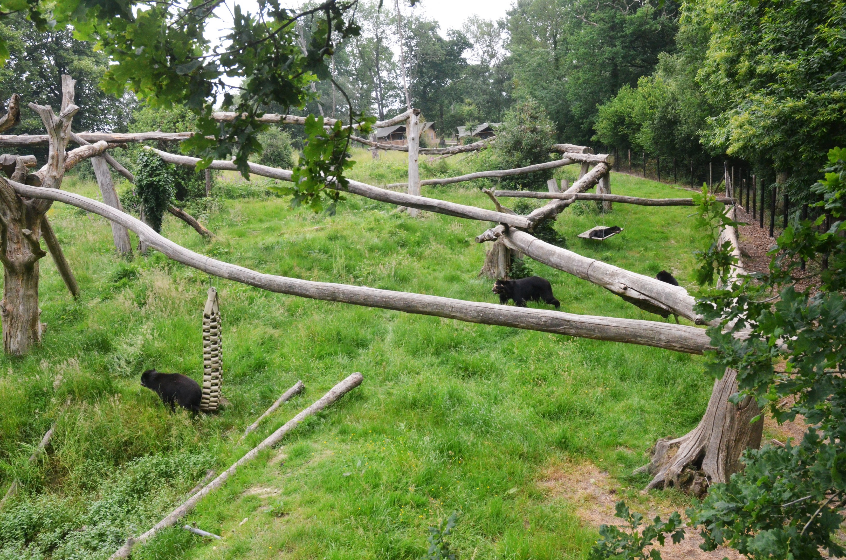 Spectacled Bear Enclosure at CERZA, 10/06/18