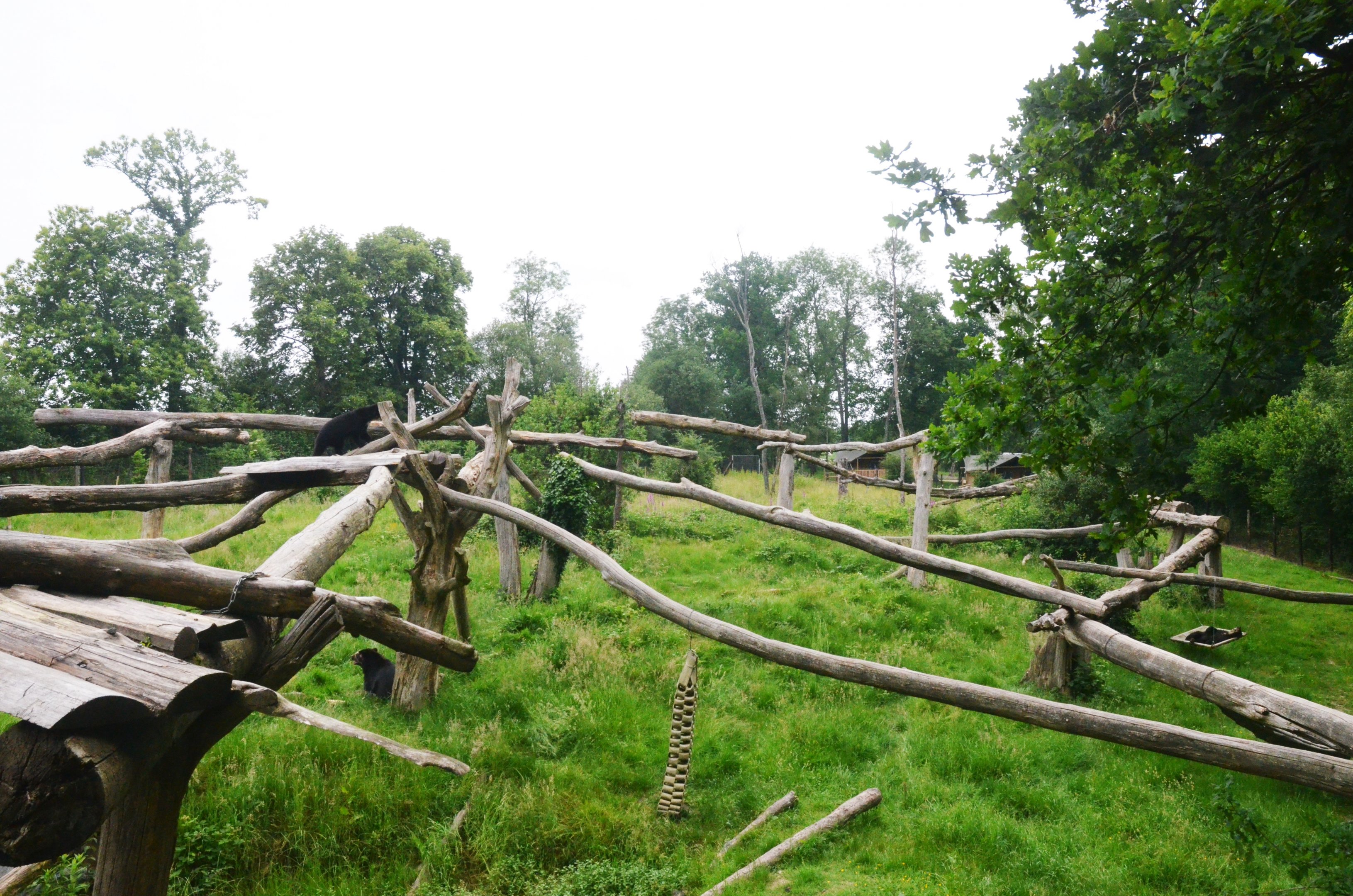 Spectacled Bear Enclosure at CERZA, 10/06/18