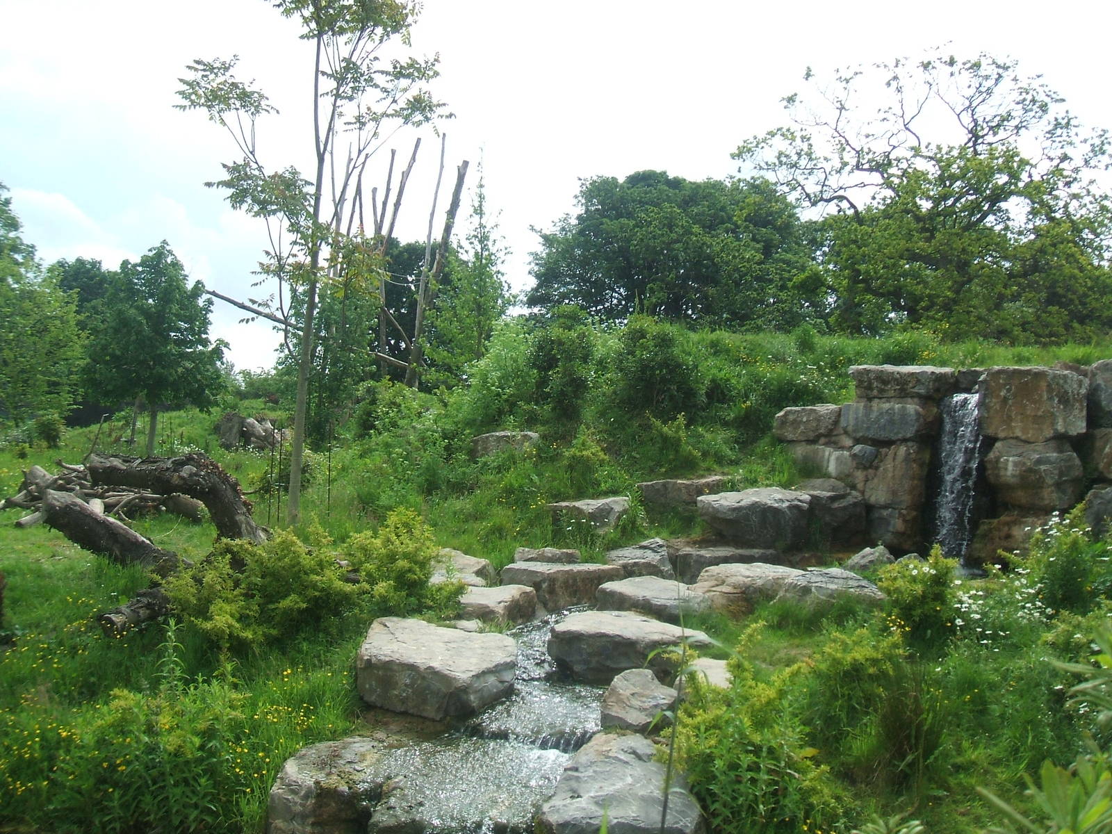 Spectacled Bear enclosure at Chester