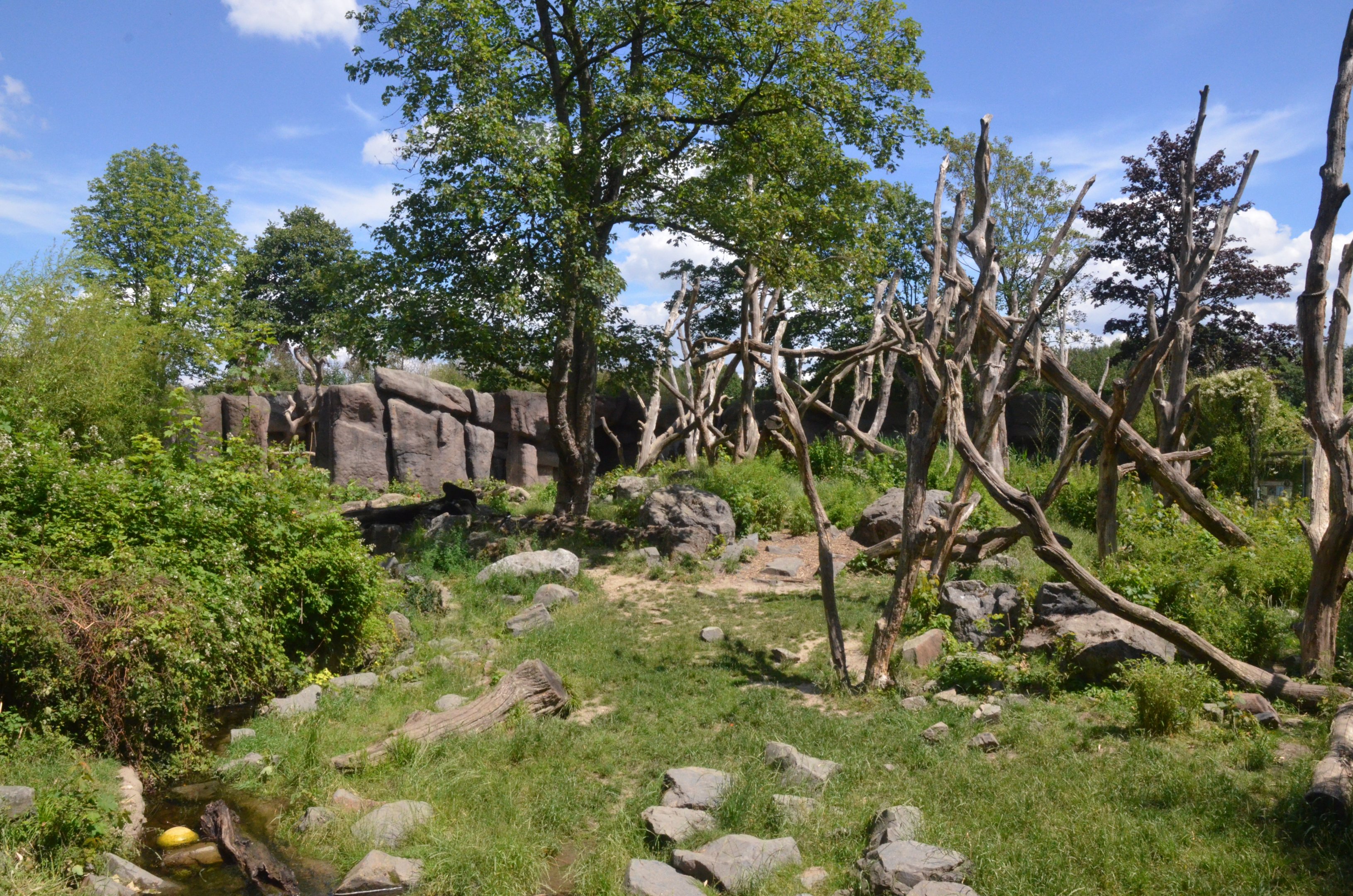 Spectacled Bear Enclosure at Duisburg, 17/06/19