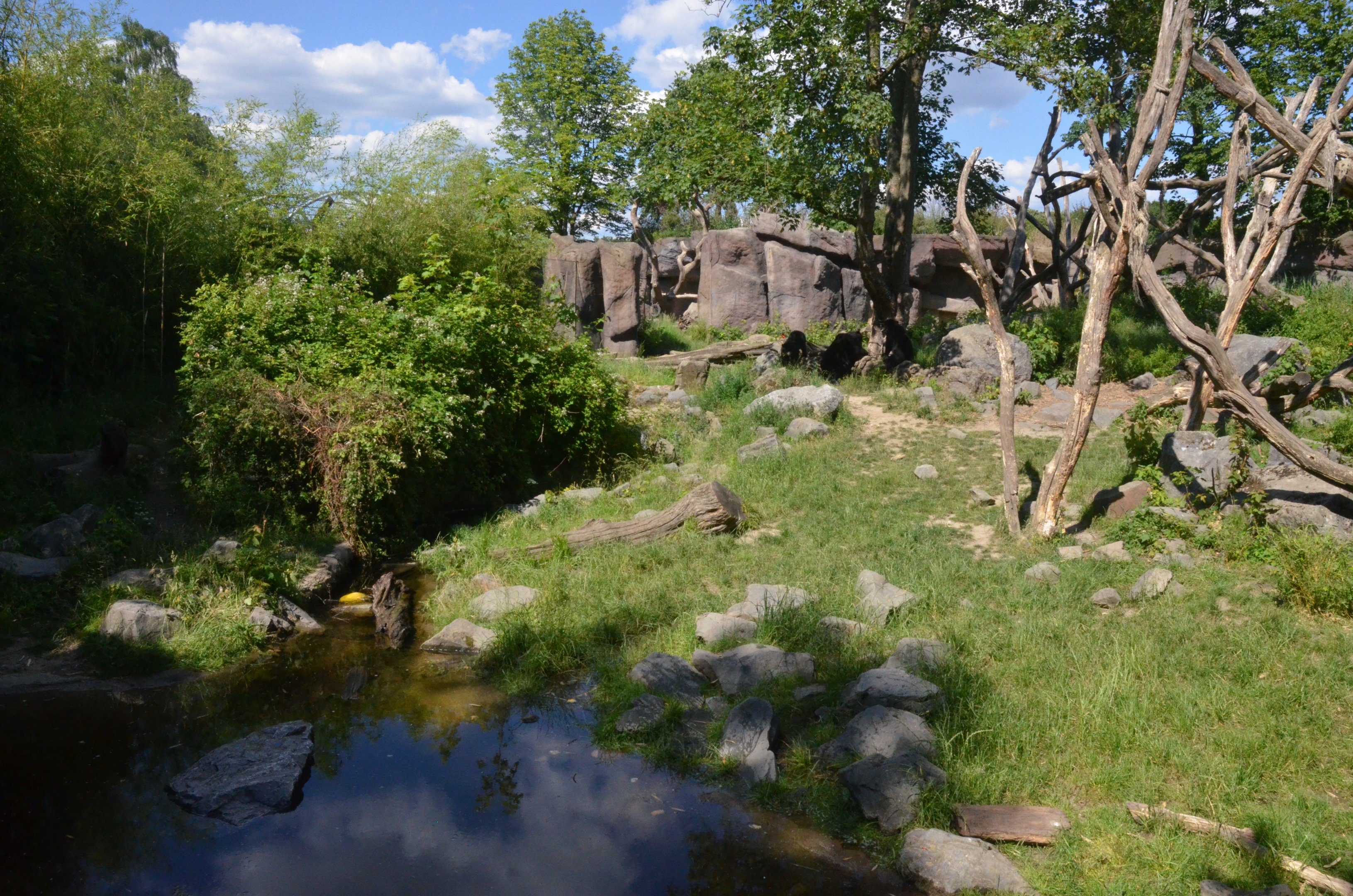 Spectacled Bear Enclosure at Duisburg, 17/06/19