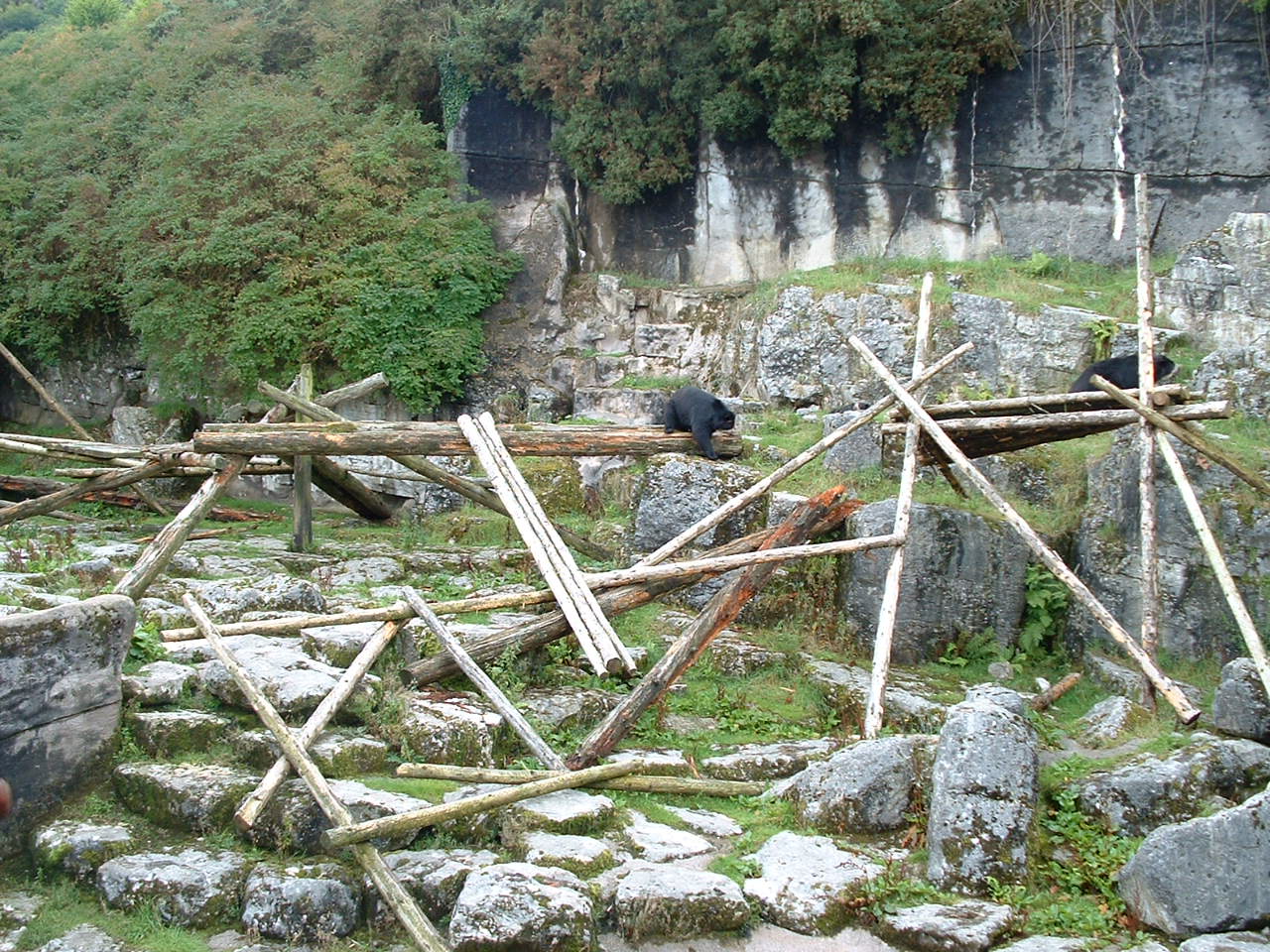 Spectacled Bear Enclosure - Belfast 2006