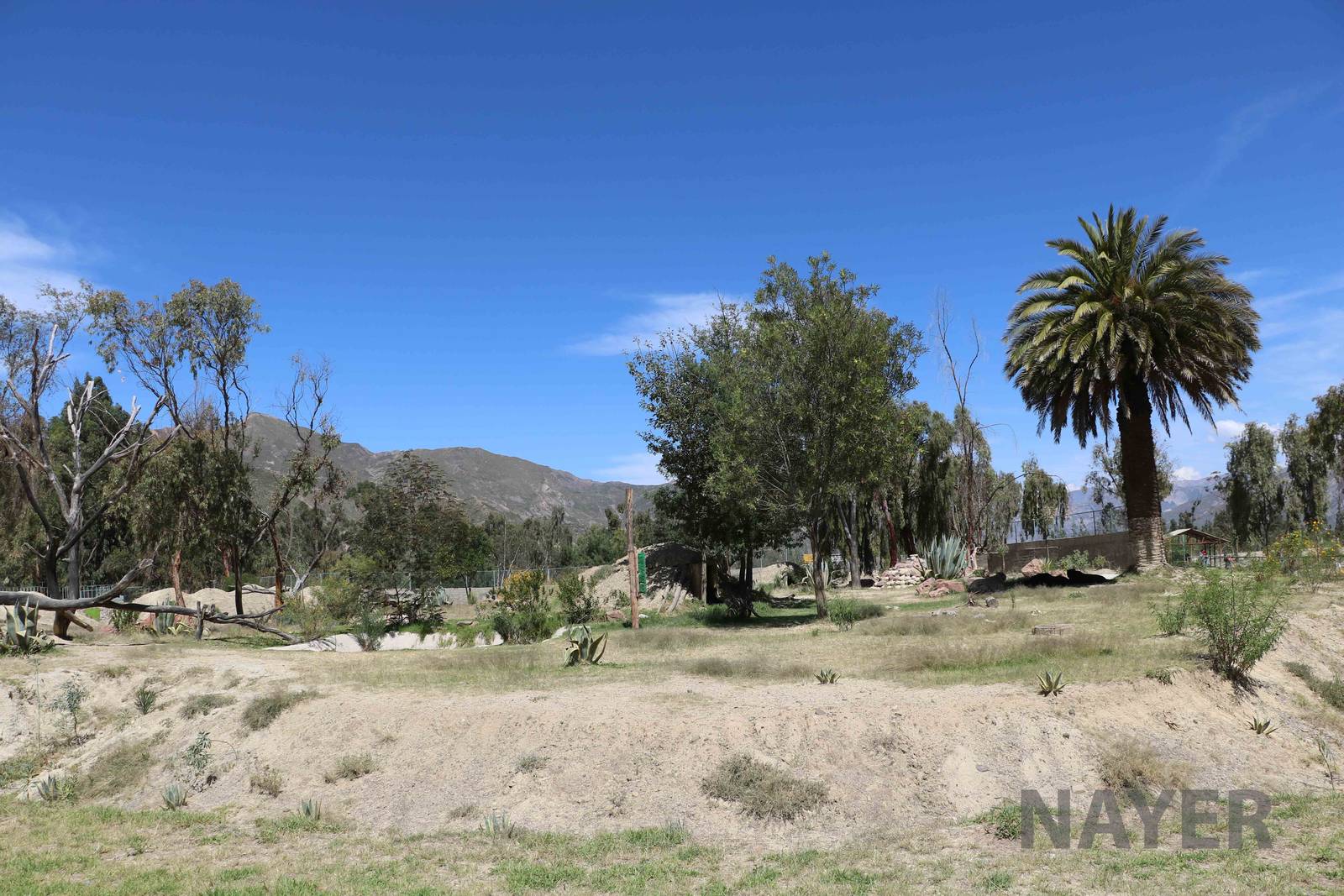 Spectacled bear enclosure, March 2016