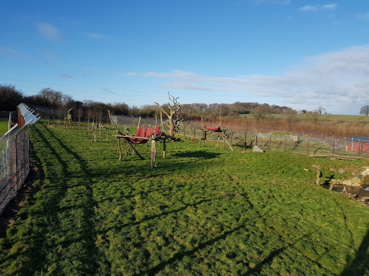 Spectacled Bear Enclosure - Noahs Ark Zoo Farm