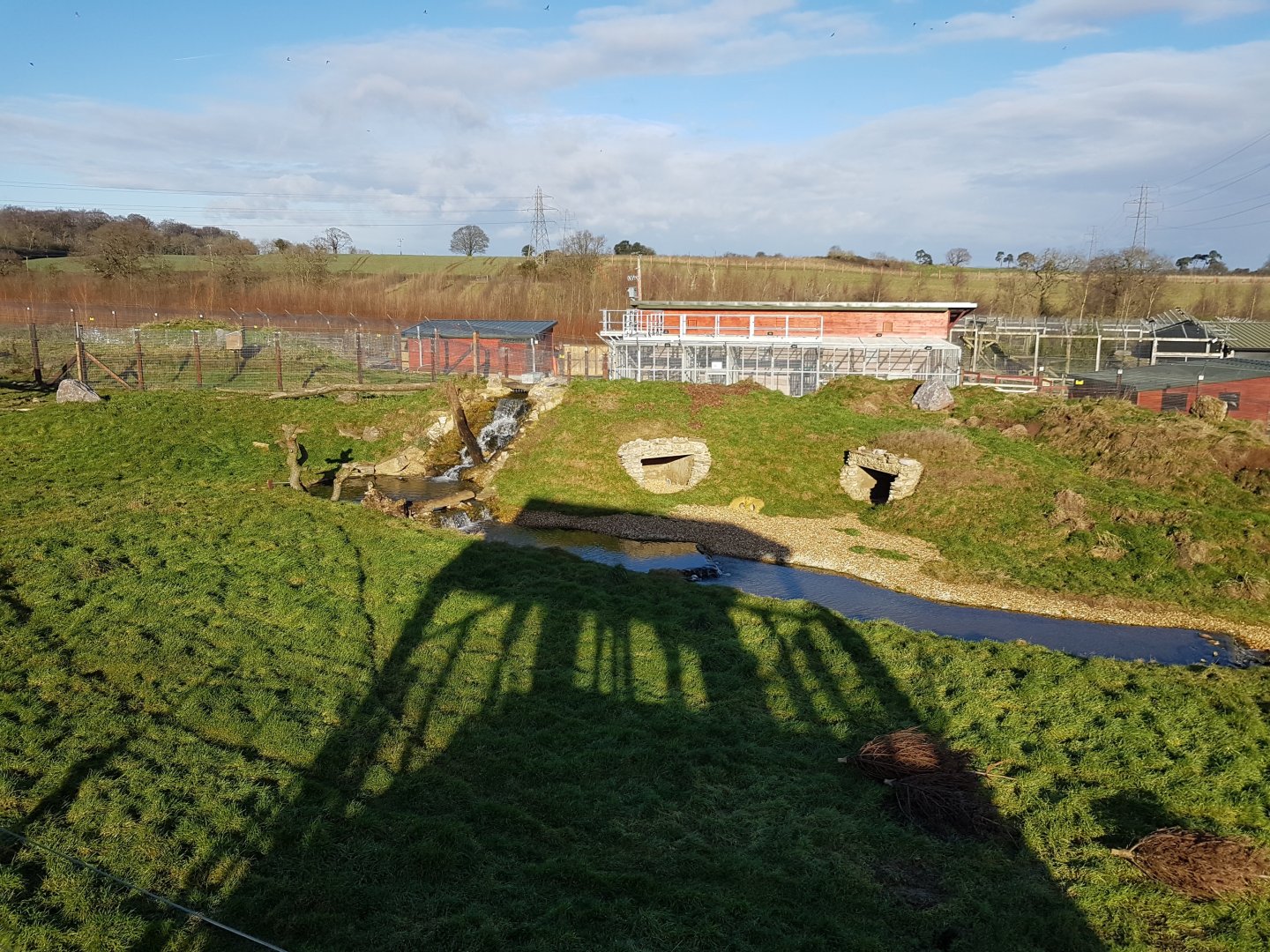 Spectacled Bear Enclosure - Noahs Ark Zoo Farm