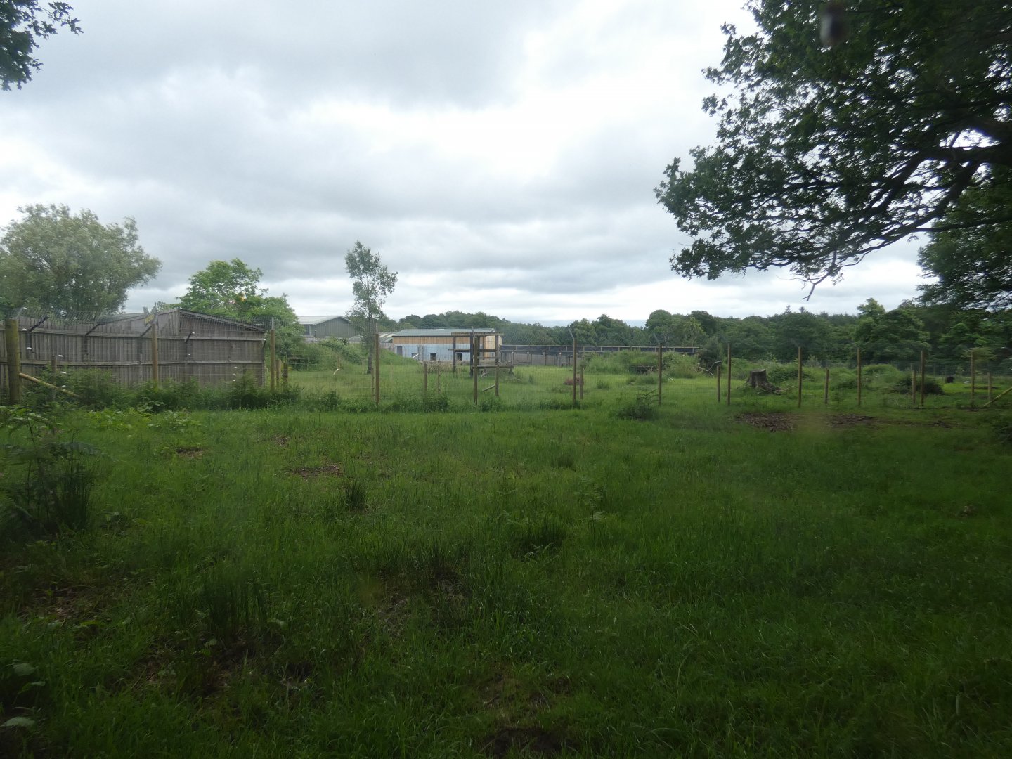 Spectacled bear enclosure side-view