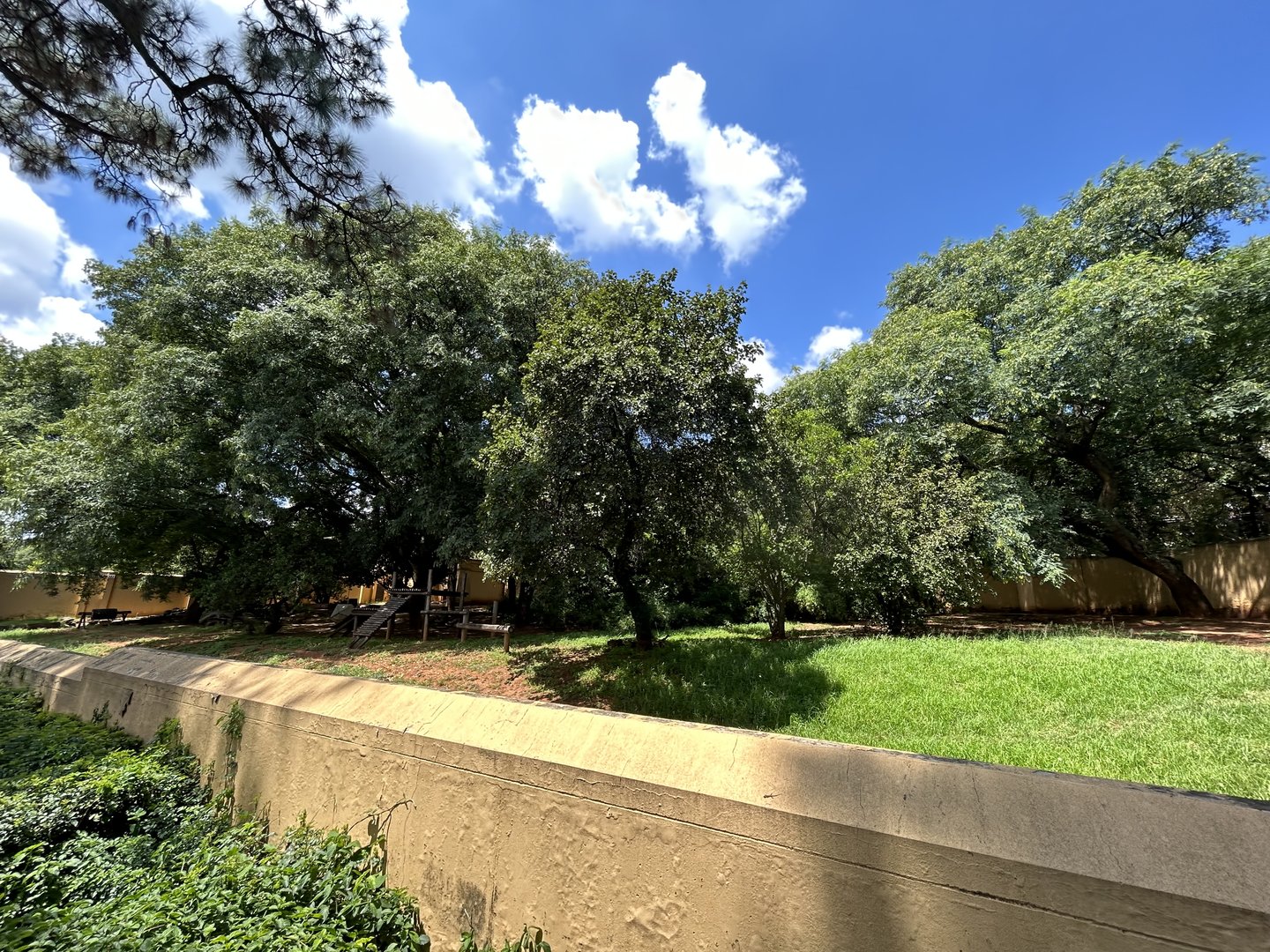 Spectacled Bear Enclosure (Tremarctos ornatus)